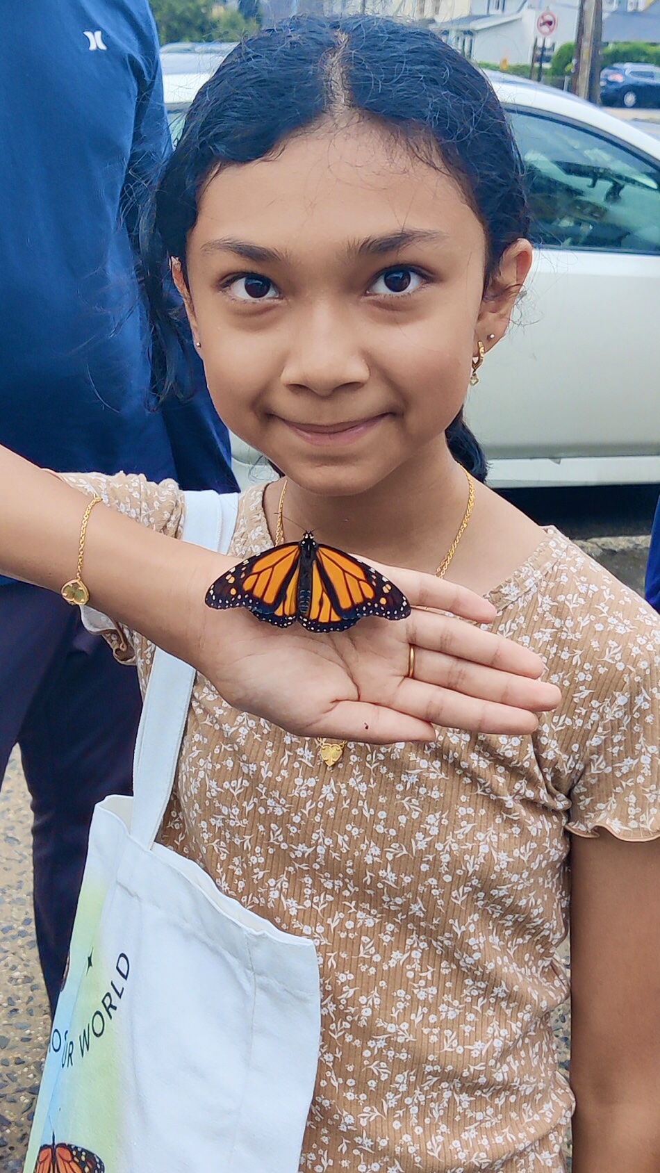 Our in-person and virtual workshops have shown us one thing: the magic of butterflies and their metamorphosis is appreciated by people of all ages 🦋💞
However, with the monarch butterfly population plummeting 80-99% in just the past 30 years, the survival of the species and their incredible metamorphosis is at risk. Join our community at @monarchs_matter to learn how you can give monarch butterflies a fighting chance.
P.S. Get ready to uncover the secrets of monarch metamorphosis in our Monarch Mystery series—coming soon! 🤫
#monarchsmatter #monarchbutterflies #butterflies #butterflylovers #butterfliesofinstagram #environmentalawareness #nativeinsects #monarchbutterfly #vulnerablespecies #savewildlife #animalvideos