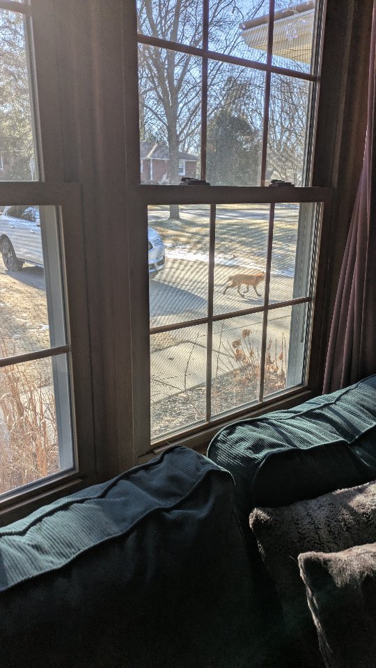 ✨10 minute reset ✨
#playroom #momlife #organizersofinstagram #professionalorganizer #organizersneedtoorganizetoo #organizinginspiration #tidyuptime #refresh #reset #basementcleanup #cleanup #chores