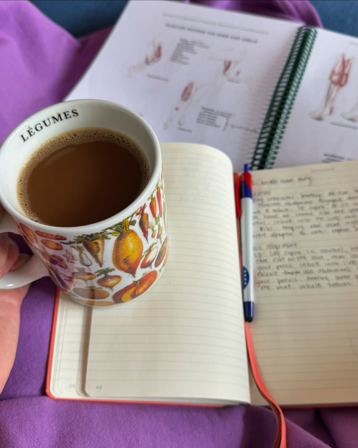 Stop trying to reduce your stress…manage it instead!
You may have been told you need to get rid of stress in order to be healthy - that is not true and not realistic! We need short burst of stress to active the sympathetic nervous system (our “fight or flight” response) to respond to danger, get through hard workouts, and support us when we are sick. The problem is when we are ALWAYS in “fight or flight” that our stress has negative impacts on digestion, sleep, and hormone function.
That’s where stress management comes in. We need to support our nervous system so we can active our parasympathetic nervous system (aka “rest and digest”) for improved digestion, sleep, and metabolism.
Follow me for tips on how to manage your stress for better digestion!
#wellnesswithcourtney #food #nutrition #registereddietitian #RD #holistic #integrativeandfunctionalnutrition #guthealth #balancednutrition #goodmoodfood #eatingformentalwellness #supplements #nourish