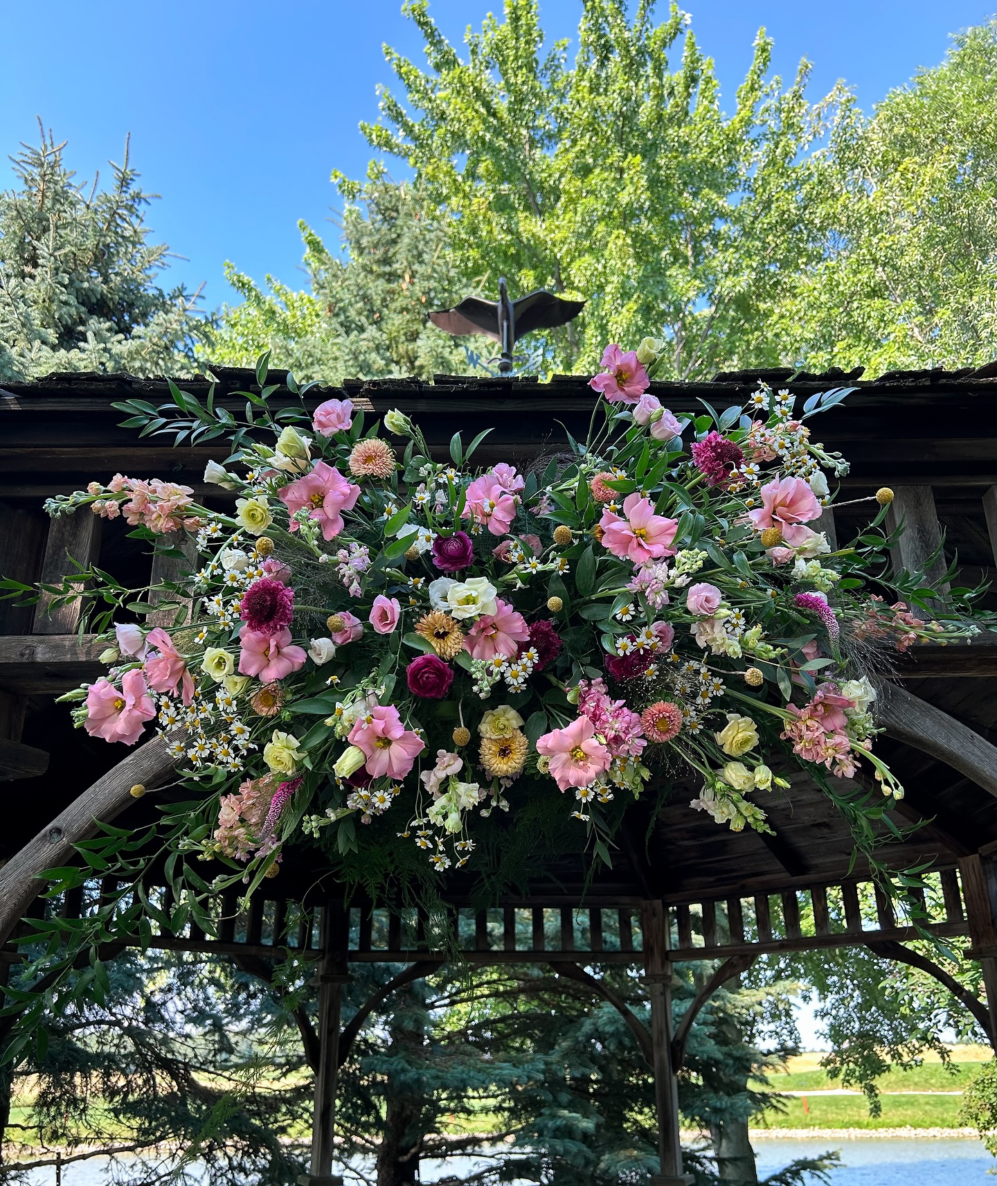 A pop of colour for this shady outdoor ceremony space.