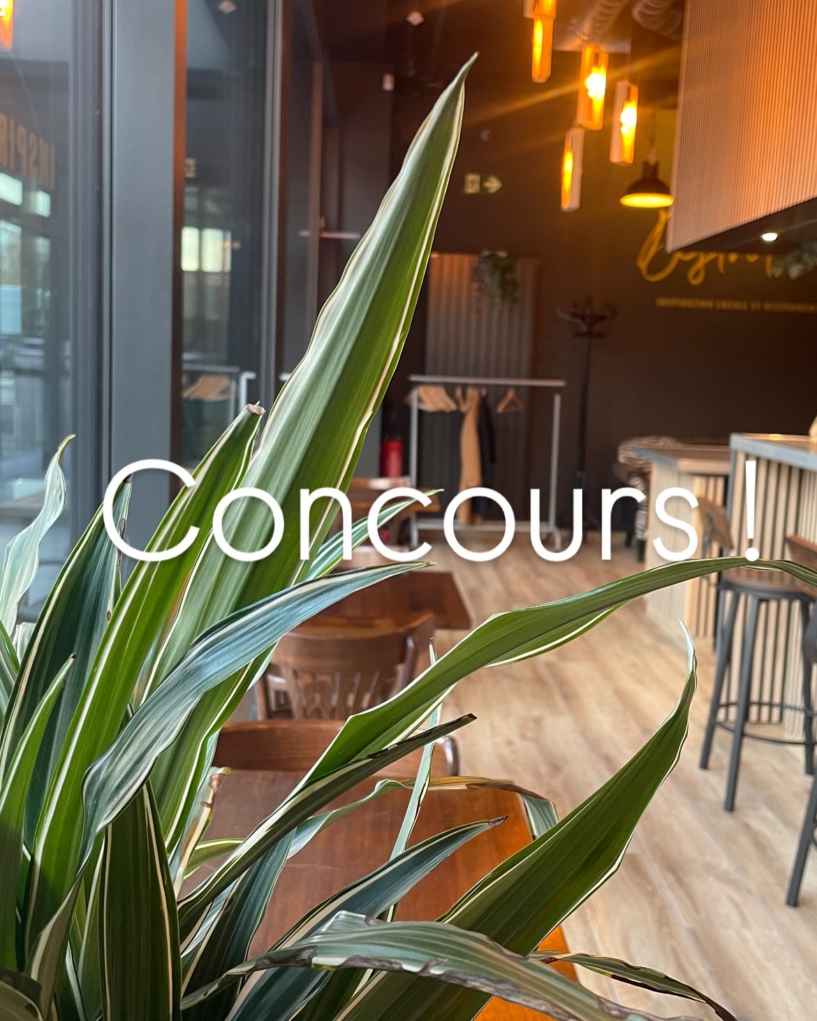 🎉 CONCOURS Spécial ! 🎉
Pour célébrer notre arrivé et les excellents retours de nos clients formidables, nous vous offrons la chance de gagner un repas pour deux personnes dans notre restaurant ! 🍽️
Voici comment participer :
👥 Taggez 3 amis en commentaire qui seraient ravis de partager ce moment avec vous !
📸 Suivez notre compte Instagram et notre page Facebook pour ne rien rater de nos nouveautés et offres spéciales.
👉 Le tirage au sort aura lieu le 1 février et le gagnant sera annoncé en story !
Participez dès maintenant et bonne chance à tous !!
#concours #gastronomie #restaurant #ecublens #nouvelleouverture #passion #goodfood #goodmoments