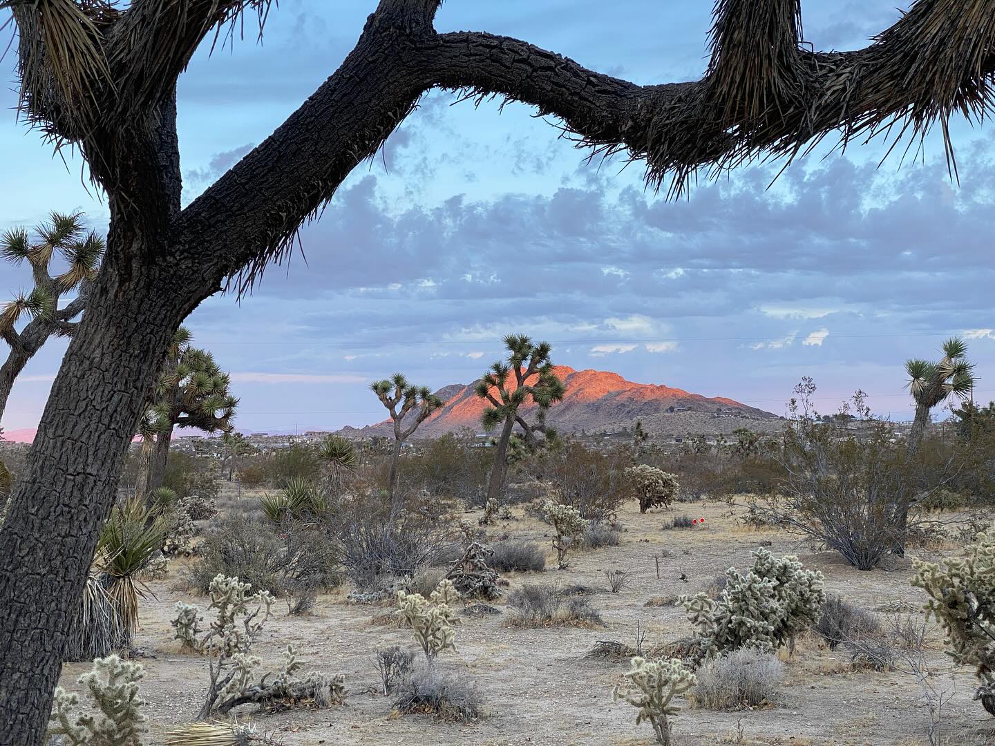 I’m in mourning for my country today. We have made a decision to put the worst of us in charge and we will pay the price while they enrich themselves at our expense. We could have done so much better and so much better for the world than we have done. What a shame.