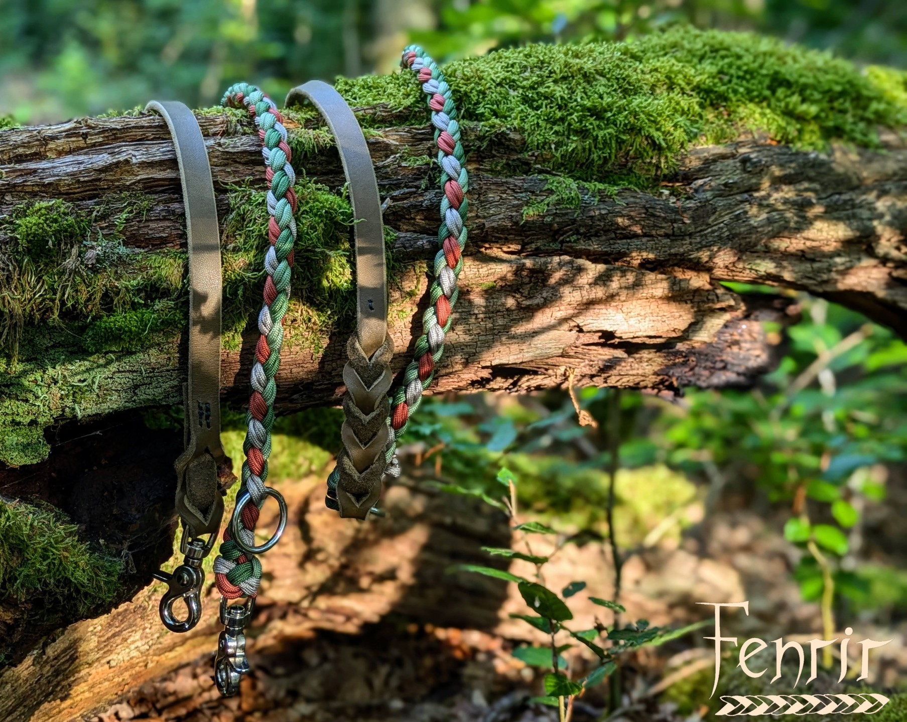 Wer ist auch bereit dafür, dass der Frühling endlich wieder kommt?🌸
#hundeliebe #hundeleine #leder #paracord #grün #rot #frühling #handmadewithlove #smallbusiness