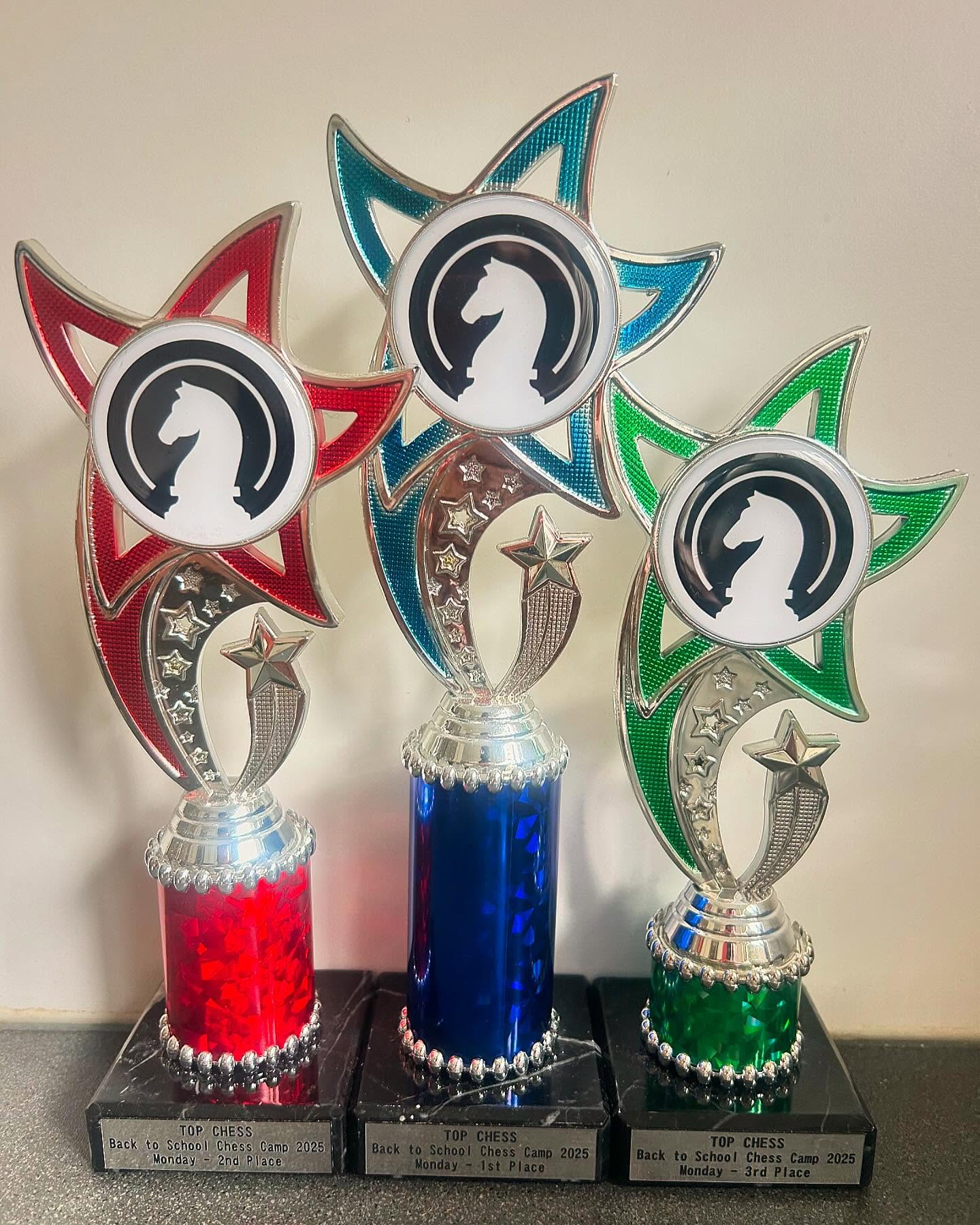 Back to School Chess Camp! Spots still available: www.topchess.com.au/events 📚✏️🧠🔝♟️