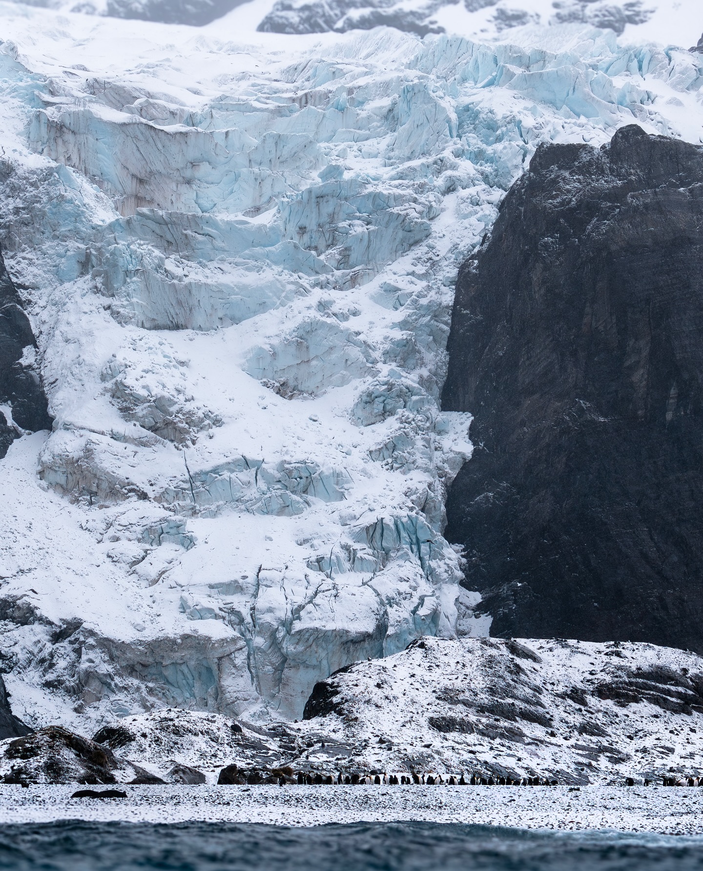 Le glacier se déverse dans l’océan Atlantique en Géorgie du Sud, la colonie de manchots royaux occupe la plage, observant quelques combats d’éléphants de mer. 🇬🇸
#southgeorgia #wildlife #landscapephotography #penguin #lumix #sigma
