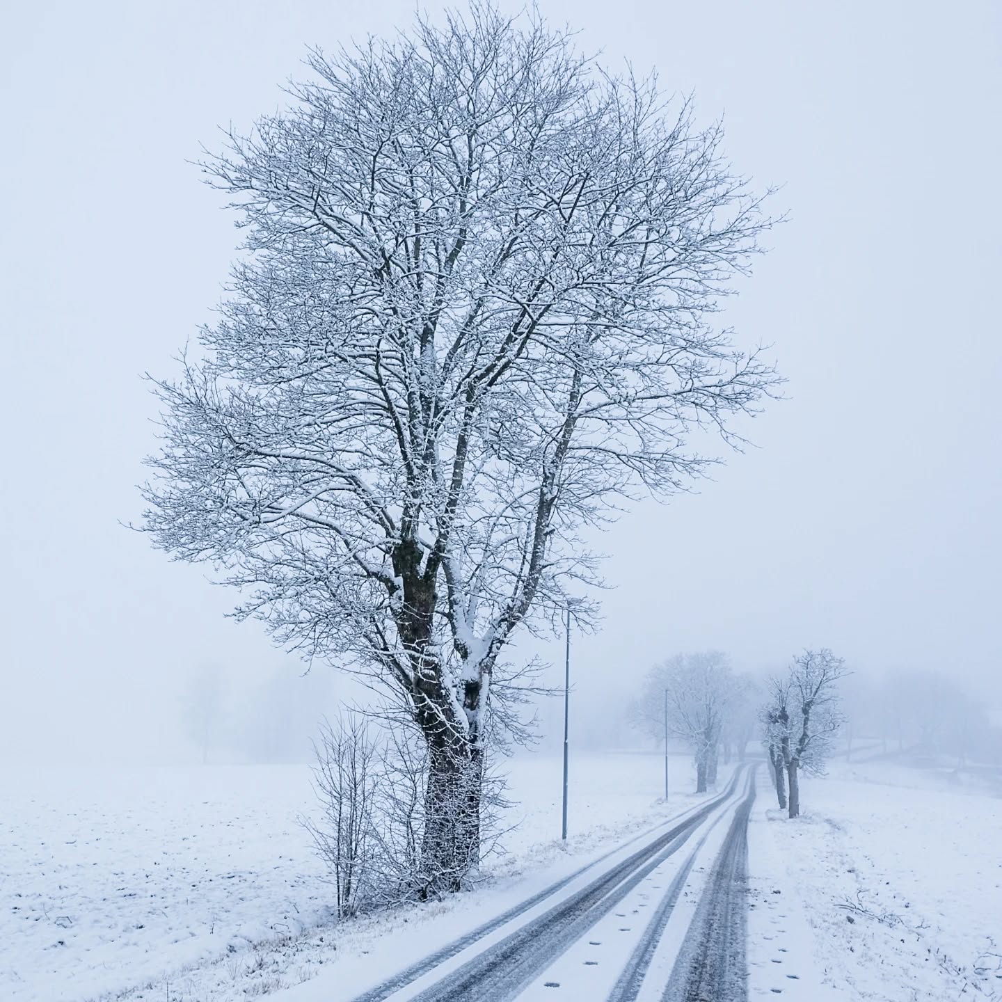 Foggy morning.
#innaturephotos
#innature
#foggymorning
#snow
#calmlandscape
#snowylandscape
#kinna
#snowyroad
