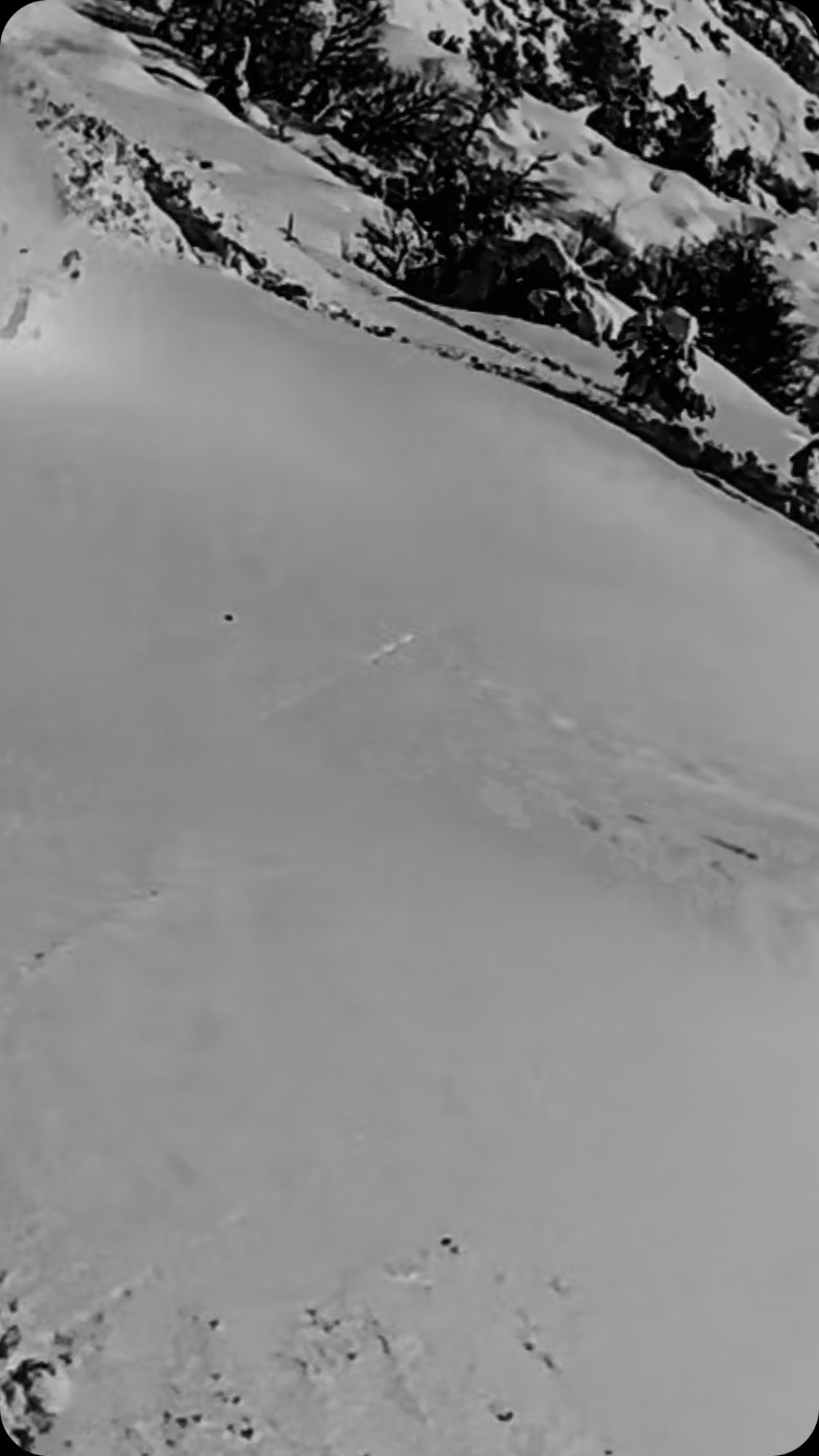 But someday you understand the meaning of my life.
#snowboarding #snowboard #snow #board #wintersession