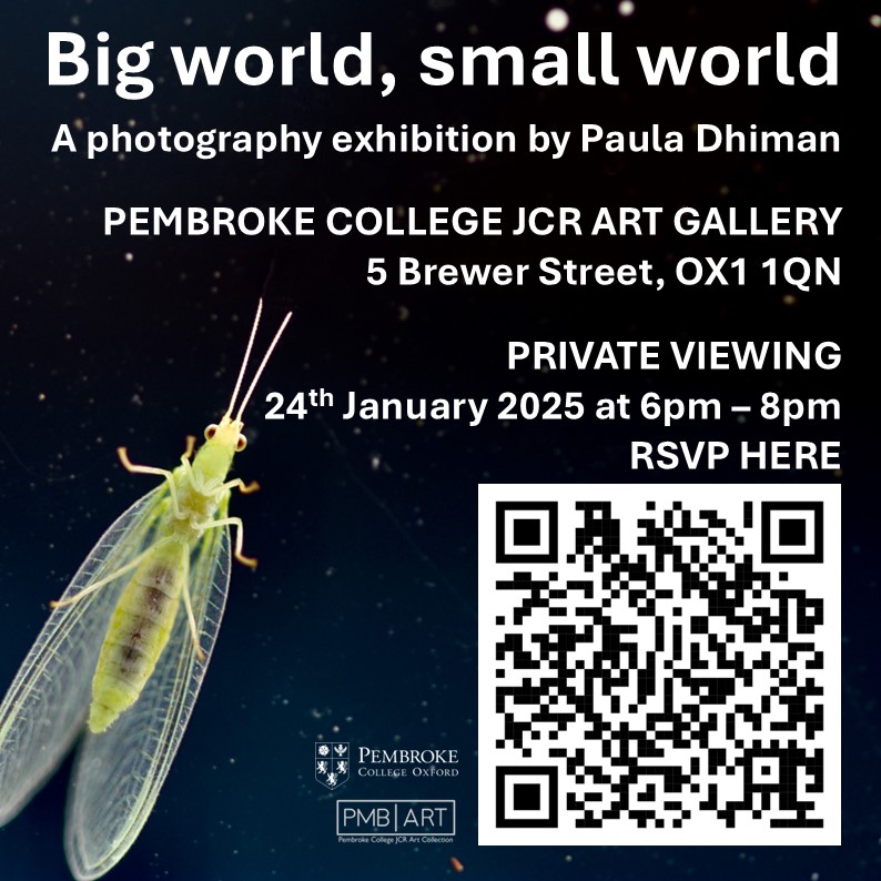 THIS FRIDAY: RSVP for Private View in bio or via QR code!
The Private View for Paula Dhiman: Big World, Small World will be taking place this Friday, 24th January, 6-8pm.
RSVP not compulsory - please come along even if you don't get a chance to RSVP!
