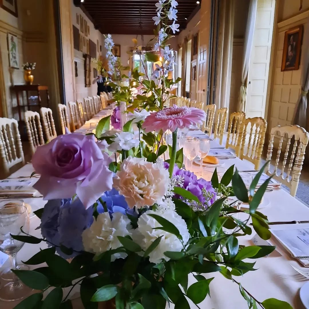 #Ilbocciolomilano 📲 3757499450 #villatrivulziodiomate #villatrivulziodiomate @villatrivulzio 💫💫💫