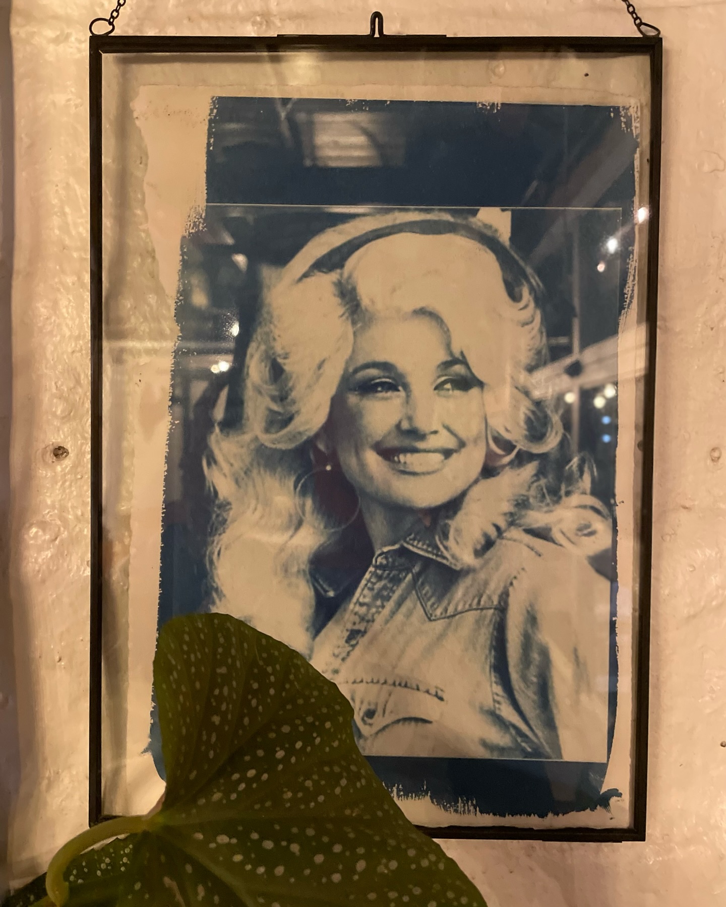 Happy birthday to our patron saint @dollyparton. We will always love you. 🦋❤️🦋❤️🦋
.
.
.
#happybirthdaydolly #crowandcart #working9to5 #dollyparton #michaeljwhite #whiteakerneighborhood #eugeneoregon #@m.j.white
Photo credit @karimawheat