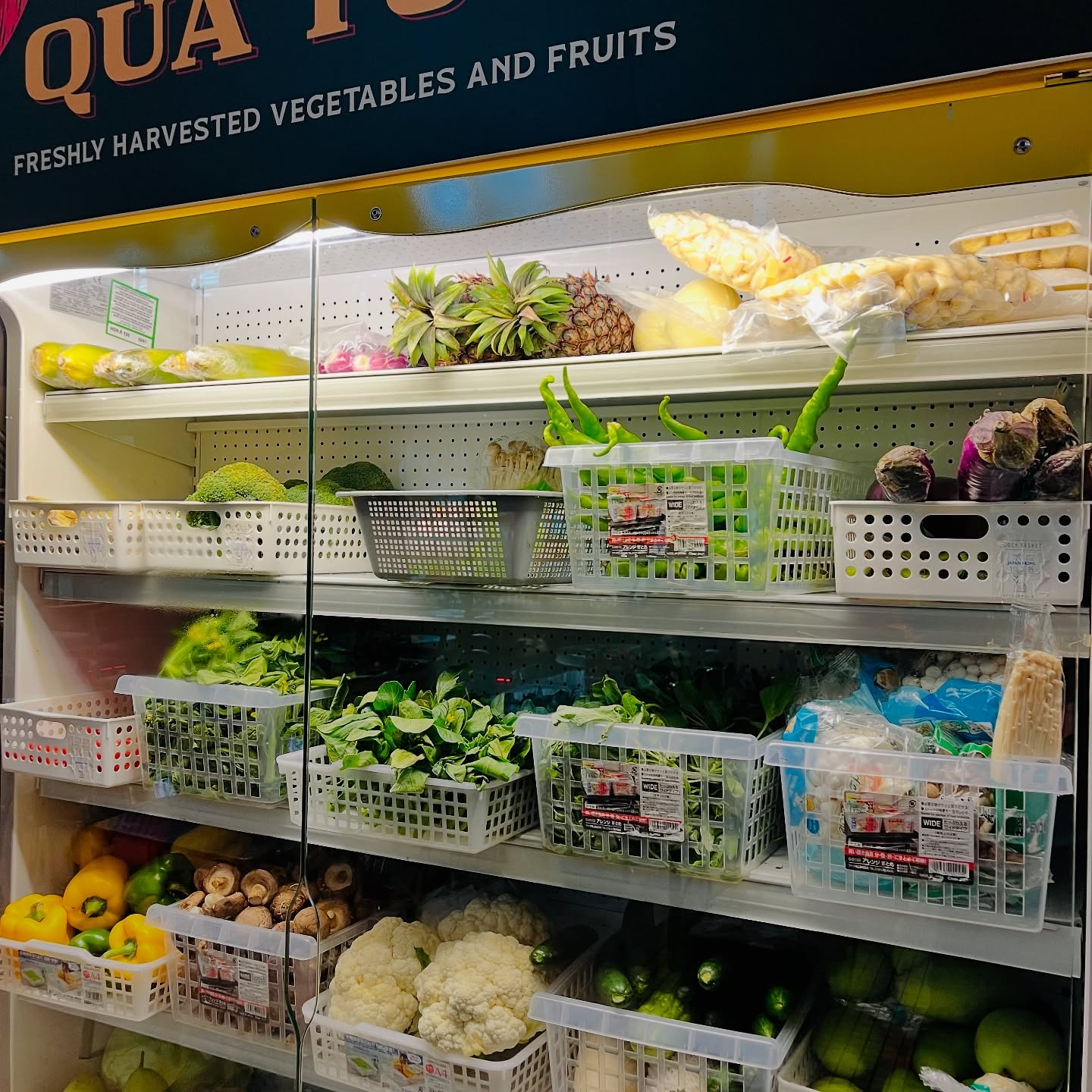 Fresh Year, Fresh Start, Fresh Food!