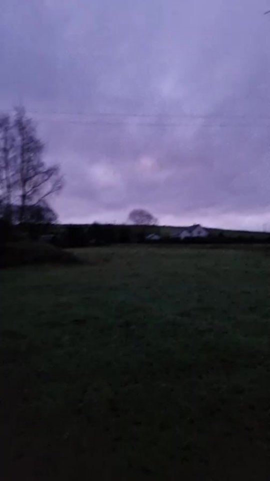 Wednesday morning 22 Jan
Arrival of the crows