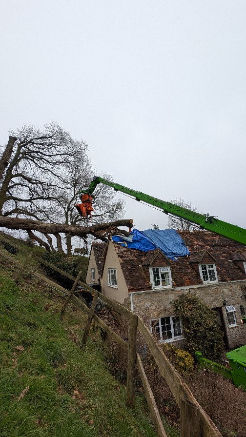 Big Saturday from the gents last weekend to remove a failed Cherry, half on a house, half still standing 🌳🏠 @treemonkey13 dismantling a complicated remaining stem with some exceptional surgery work 🪓 @m1waymason master on the ground and @rotoarb_and_lifting bringing the muscle to expertly remove the fallen stem from the property without further damage 🏠
#treecontracting #treeremoval #andovertreesurgeon #winchestertreesurgeon #hampshiretreesurgeon #wiltshiretreesurgeon #salisburytreesurgeon #emergencytreework #treesurgery #treework #treeemergency