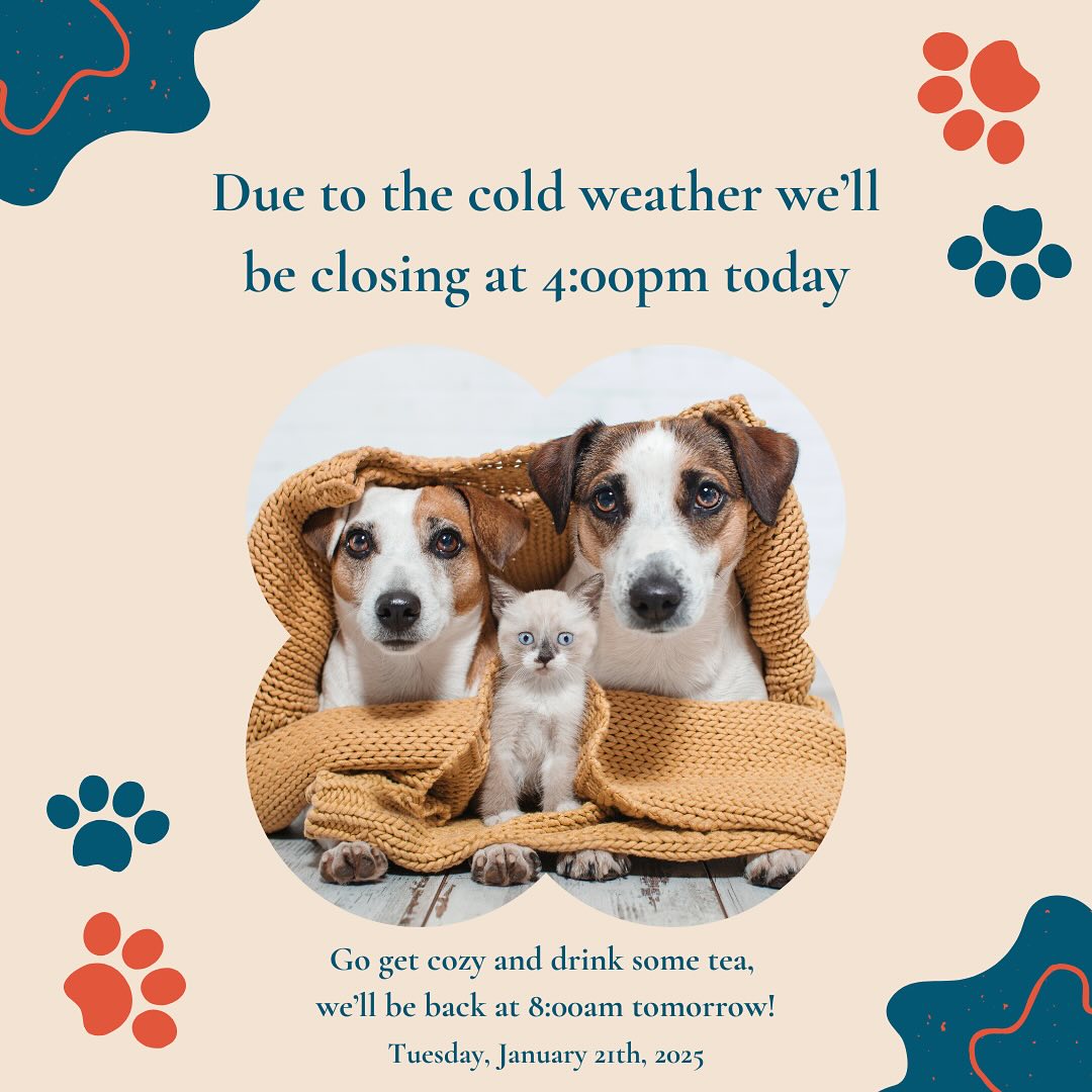 Stay warm today!🤍