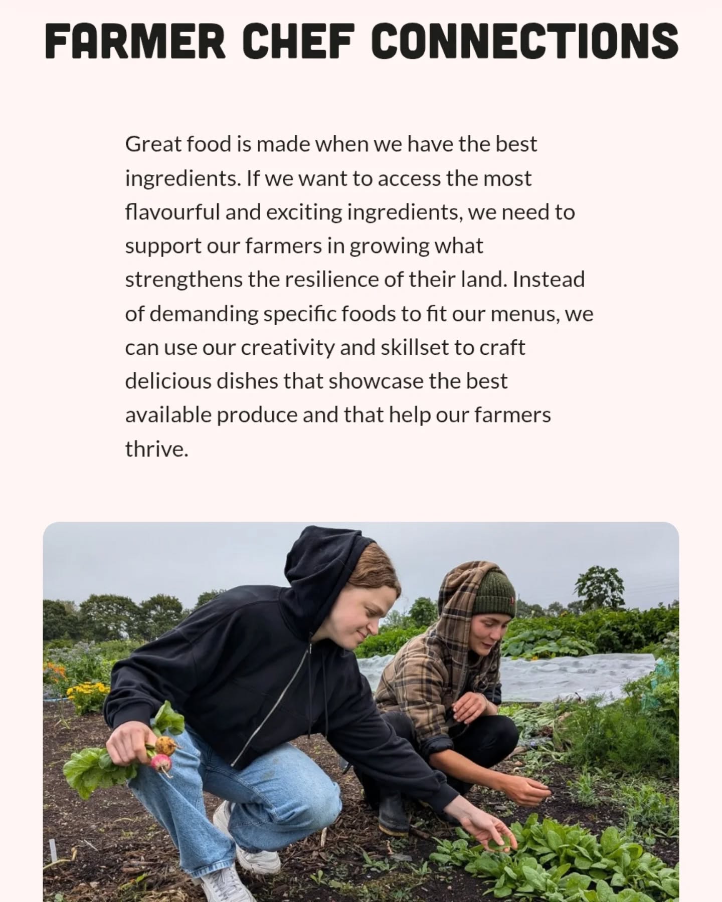 THE JOURNEY IS THE REWARD
Two years ago I was pondering whether to use a sous vide to cook at Palmito. Whether it would be good for our finances and whether the single-use plastic that is needed for it was worth it. Then I met an amazing chef @viki_cowan who told me about @no_mise_en_plastic. I showed their work to my chefs and I decided not to go for it. Instead to focus on humble food cooked using traditional methods. At the same time I was attending meetings organised by @btnhovefood which allowed me to meet some extraordinary people. We started to buy from them, eventually we started visiting them and I think as a whole our team has benefited so much from this.
A few months ago I got an email from @no_mise_en_plastic and their project. That they wanted to write about our journey and today I feel truly blessed for this and for those people that work with us and help us along the way.
https://www.nmeplastic.com/todays-menu
@btnkitchen
@btnhovefood
@clapham_farm_
@barfieldsbutchers
@pitfield.veg
@murphs.market.garden
@frazers_scallops
@shrub.london
@brightonfishsales
@barcombeorganic
@casa.azul.brighton
@nuthurstfarmlamb
@sussexsurplus
@forageurban
@k.kocsis
@huntsham_farm