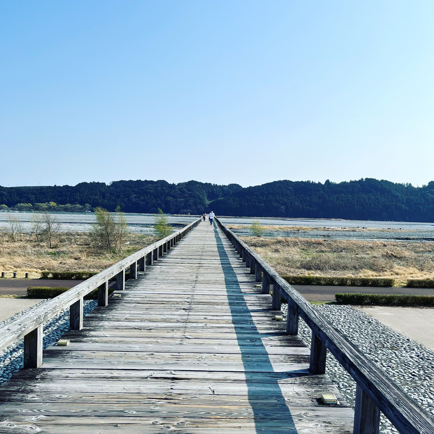 This bridge has the Guinness World Records as the longest wooden pedestrain bridge over the Oi-River near Shimada-juku on Tokaido. This bridge was used by green tea farmers. You can visit this bridge if you want in our tour.
#woodenbridge #architecture #shimada #tokaido #teafarmer #greentea #shizuoka #tourinjapan #horaibridge #japantour #guinnessworldrecord