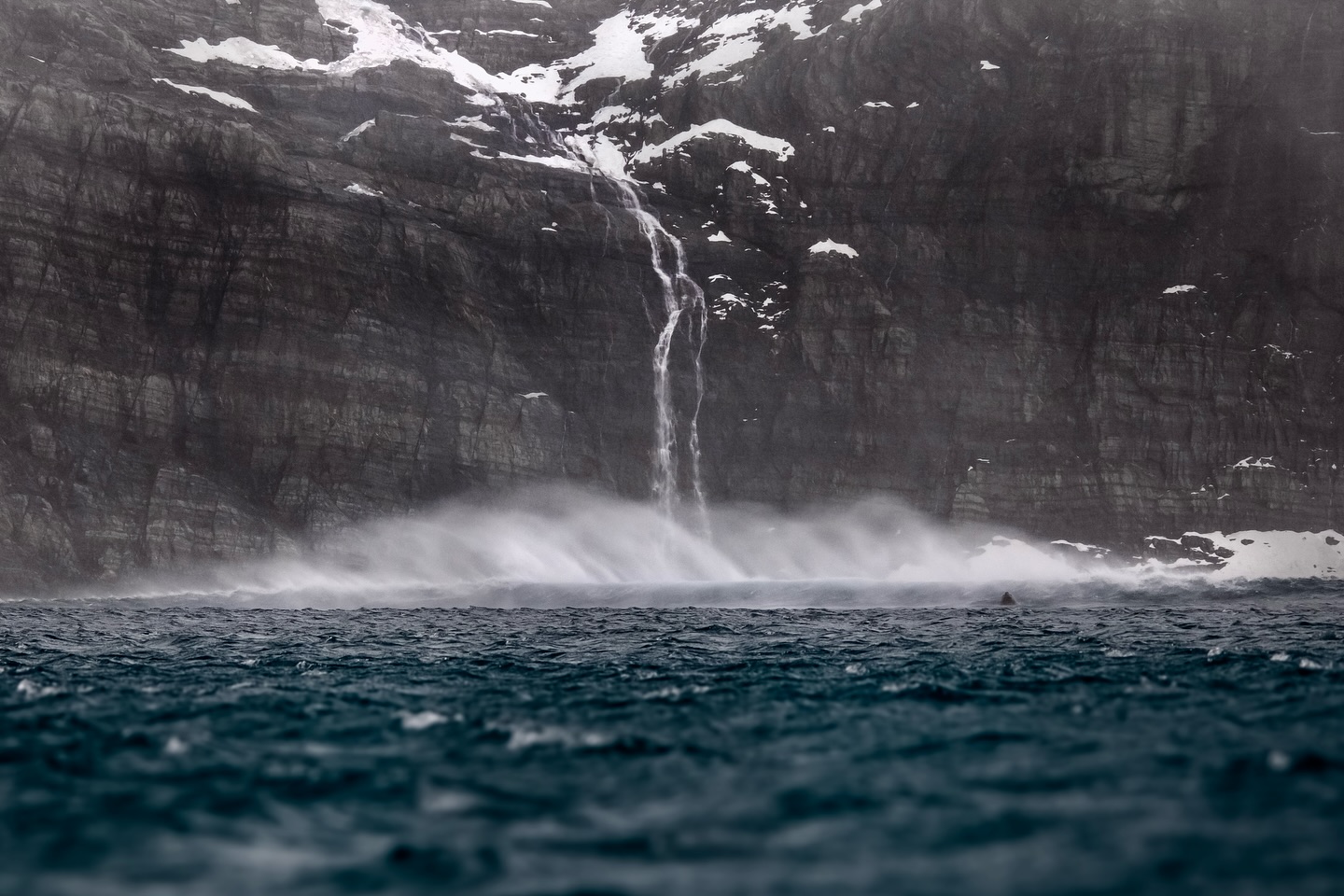 Spectateur éphémère d’un paysage brut et fragile, la Géorgie du Sud, sauvage, grandiose... Un éléphant de mer nage dans les vagues. 🌊🇬🇸
#southgeorgia #wildnature #wildlife #landscape
#natgeoyourshot #lumix #sigma