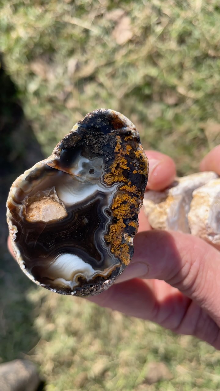 If you need me, I’ll be over here posting another set of #gorgeousagates we cut recently… #agate #texasagate #iloverocks #lapidary