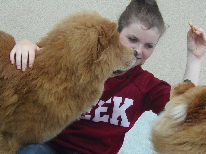 On ne quitte jamais l’objectif des yeux 👀 🦴🐶
Www.surixpets.com