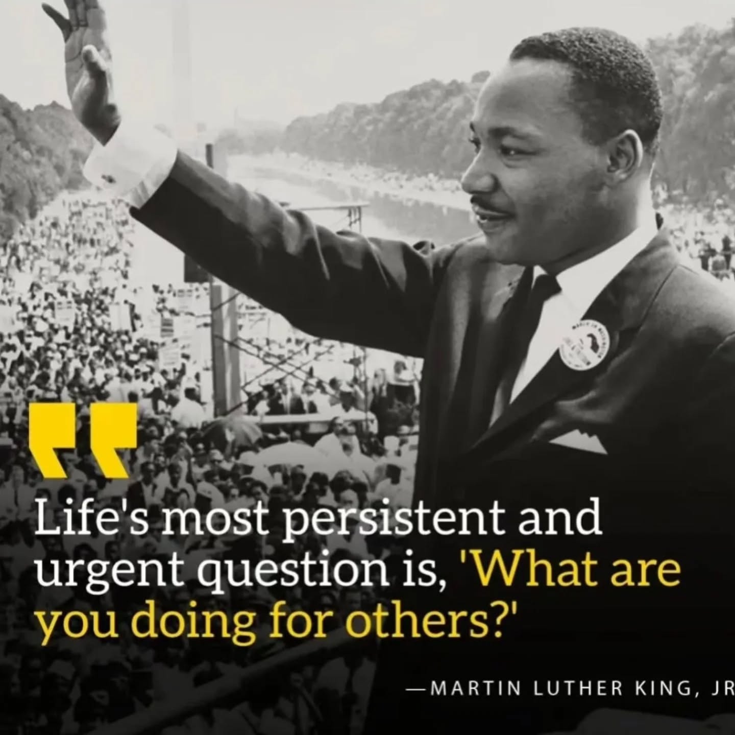 Happy MLK day!!! To a leader who saw a future greater than himself.
May we all remember to ask ourselves - "what can we do for others" today and every day.
#spreadlove #mlkday #importantreminders #newbergfamilyeyecare
#welcometothefamly
#bestcommunity #bestpatients #beststaff