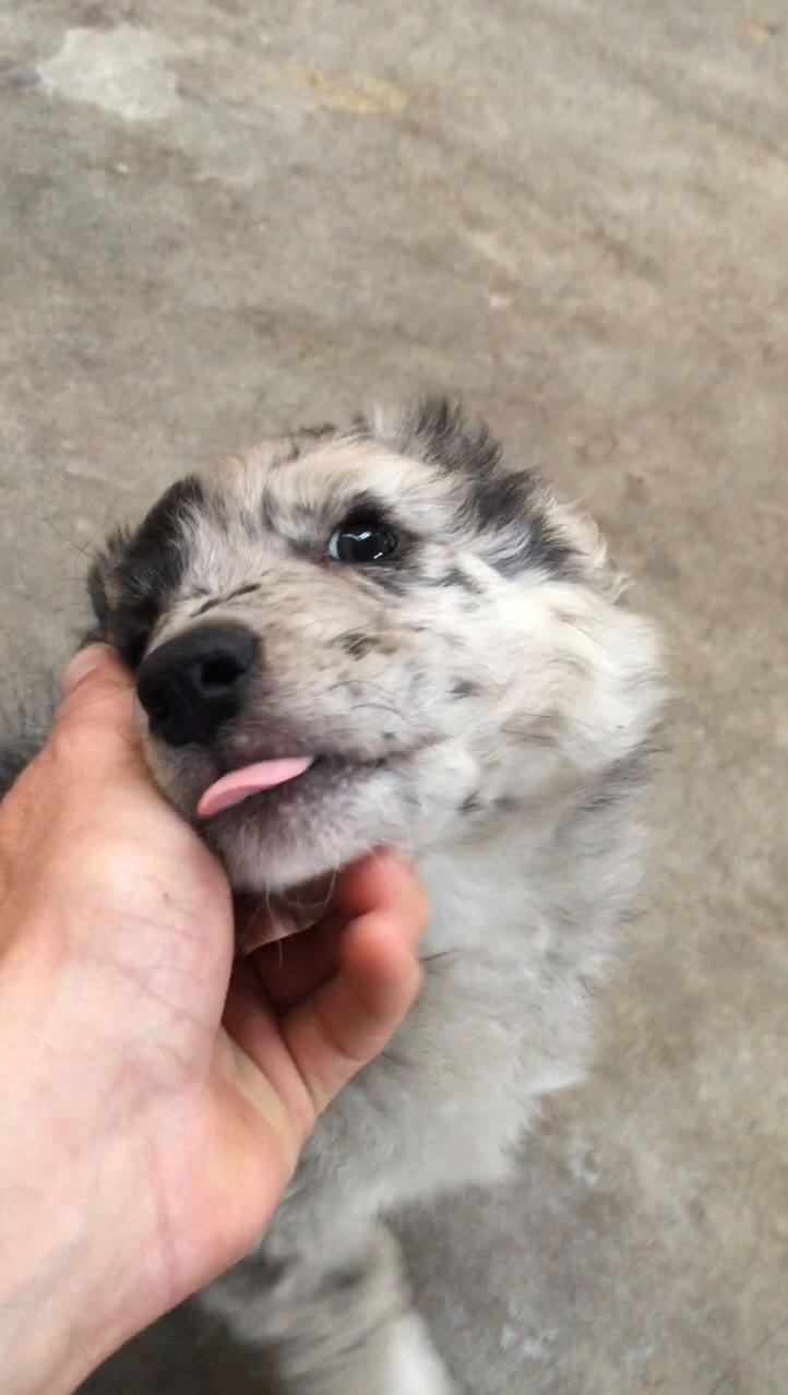 Fem créixer la família Bestiari 💜
🎉 Descobreix el pla especial per a cadells 🐶🐱 que llancem aquest mes de Febrer per a tots els qui vingueu amb nous membres de la família🐾
👉🏼Aprofita aquesta oportunitat única amb descomptes exclusius en vacunes, microxip, revisions, cirurgia i més...
Si creus que et pot encaixar t'oferim una revisió gratuïta sense compromís on parlarem de tots els teus dubtes ✍🏼🦮🤔🫀💉🐈⬛🦴🥎...
🌈I si ja ets amb nosaltres i coneixes algú qui pugui interessar beneficie't del programa "convida un amic"💡🫶🏼...
Per més informació vine'ns a veure al Carrer Súria nº 4, 08242 a Manresa 🏩, parking 🅿️ gratuït per a clients.