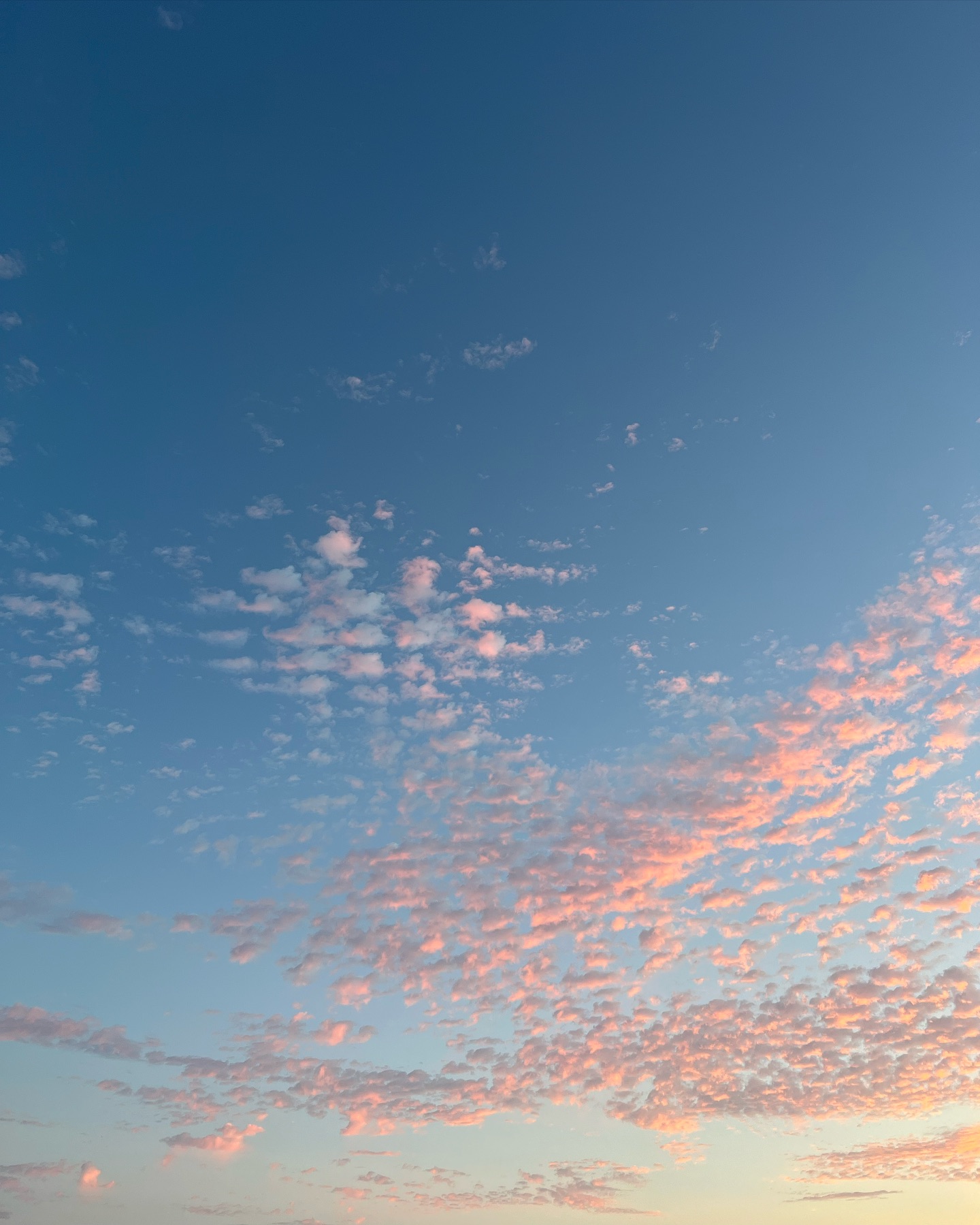 🩷🌸🏄🏼♀️👙