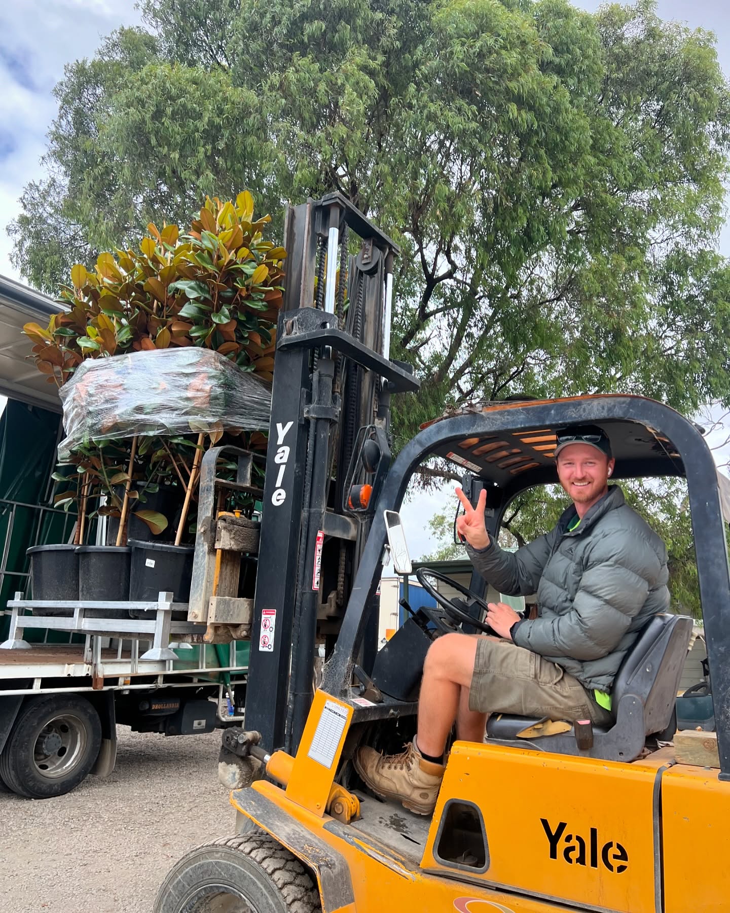 Last week the team at Bundameer were stoked to send out this beautiful order of Magnolia Grandiflora Teddy Bears and Waterhouse Floribundas (also known as Weeping Lilly Pilly) 🤩 to our new customers at Heyne’s Wholesale Nursery in South Australia.
Well established in 40cm pots, these babies will give your garden an instant wow factor!! Get in touch with us to place your wholesale order today ✨
.
.
.
.
#australianlandscaping #australianlandscapedesign #gardendesign #wholesaleplantsaustralia