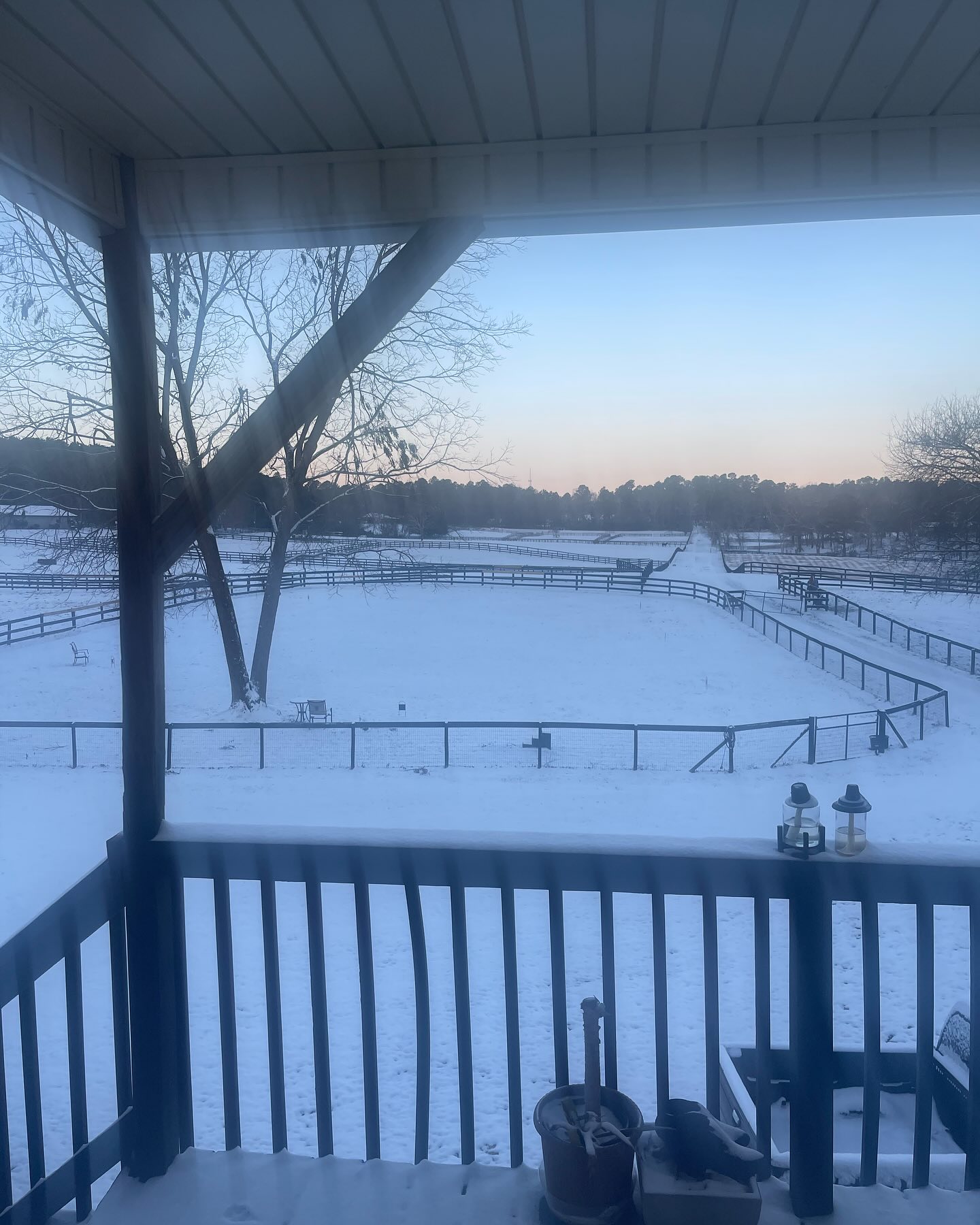 Though I hate the cold, our unusual bout of snow reminded me of something. It reminded me of how it almost acts as a reset button. The quiet still nights with the snow reflecting the moonlight. And bright and vibrant mornings with frisky animals basking in the sunlight. How the chill seems to do something to our bodies and give all of us a jolt of energy. In a season where cloudy cold days seem to make everyone want to stay in bed, the snow brings us all back to life.
This snow was significant in a way for me, with the weight and heaviness of all the uncertainty in this country. The dread of what’s to come seemed to stagnate me. But the snow brought me back. It reminded me of the importance of everything in life and in taking action. Stagnation does no good for anyone. While rest is important, how we wake up to face the day is equally important.