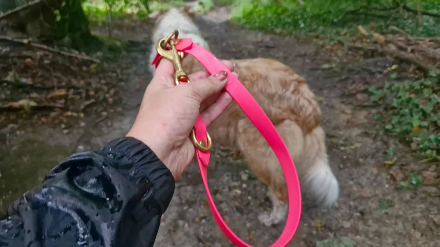 ☔️ Regenwetter? Kein Problem!
Das Wetter bleibt auch in den nächsten Tagen regnerisch – aber das hält uns nicht davon ab, mit unseren Hunden rauszugehen! Mit unseren wasserfesten Biothane-Leinen seid ihr bestens vorbereitet: Kein Aufquellen, kein Schmutz – einfach abwischen und fertig!
Hier seht ihr Mala auf einem unserer Lieblings-Regenwege. ☔️ Wer braucht schon Sonnenschein, wenn man die richtige Ausrüstung hat? 💛
➡️ Wie sieht euer Regen-Outfit für den Hund aus? Erzählt uns davon in den Kommentaren!
#RegenwetterTipps #BiothaneLeinen #AbenteuerImRegen #HandgemachtMitLiebe #wunschleinen