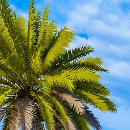 🌅 Milan Towers Project 🌟
Experience the ultimate Mediterranean lifestyle with Milan Towers, located in the heart of Mahmutlar, Alanya. Enjoy breathtaking views of the Mediterranean Sea and Alanya Castle! 🌴
🏡 Project Highlights:
• 109 modern apartments:
• 1+1: 21 apartments
• 2+1: 82 apartments
• Duplexes/Penthouses: 8 units
• Outdoor & indoor swimming pools 🏊♂️
• Turkish bath, landscaped areas, and children’s playground 🌳
• Premium-quality interior design and advanced security systems 🔒
🏖️ Perfect Location:
Just 10 minutes away from Alanya city center, you can relax by the beach and watch stunning sunsets over Antalya’s majestic Kemer Mountains. 🌅
✨ Unlock a premium lifestyle in the heart of the Mediterranean with Milan Towers!
📩 Contact us via DM for more details or inquiries.