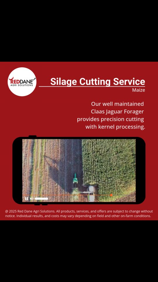 🌽 We are now offering Maize Silage Cutting Services' by Red Dane Farming. 🌽 Our well maintained Claas Jaguar Forager provides precision cutting with kernel processing.
Get in contact with us today via email for a quote: richard@reddanefarming.com
#reddaneagrisolutions #reddanefarming #wearelivestock #maizesilage #silagecutting #zimbabwefarming #claasjaguarforager