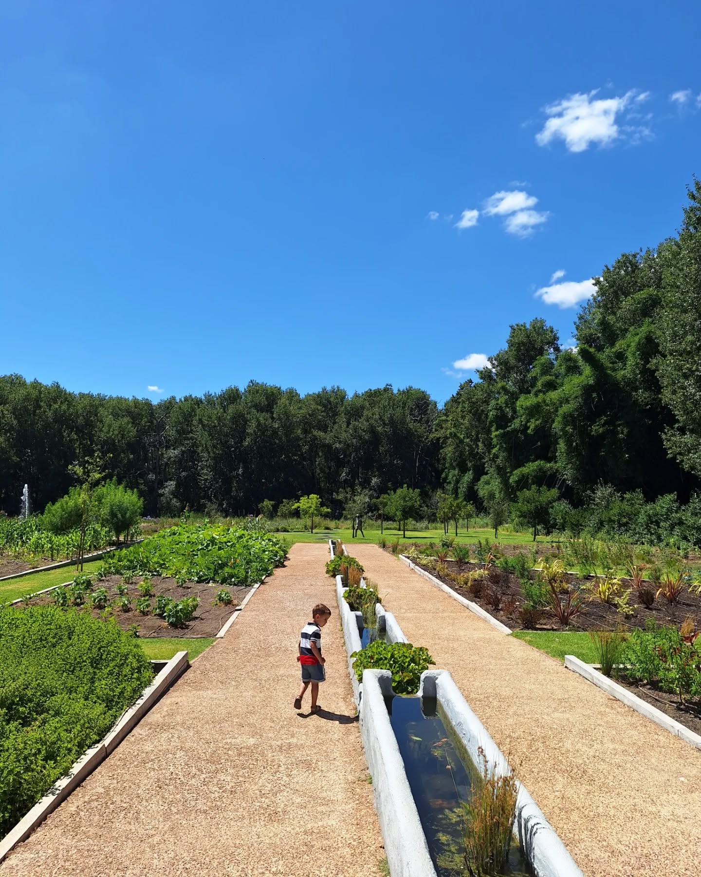 De volgende kindvriendelijke tip in de omgeving van Kaapstad is @boschendal in Pniel, tussen Stellenbosch, Paarl en Franschhoek.
Een groentetuin met water om te spelen, uitdagende speeltuin (ideaal voor kinderen van 2 tot 10 jaar oud), twee restaurants, mogelijkheid om te picknicken, wijnproeverijen en fietshuur, maakt dit ideaal voor het hele gezin.
#reisadvies #reizenmetkinderen #reizenmetkids #gezinopreis #zegookja #maatwerkreizen #Kaapstad #stellenbosch #franschhoek #franschhoekwinetram #paarl #capetownwithkids