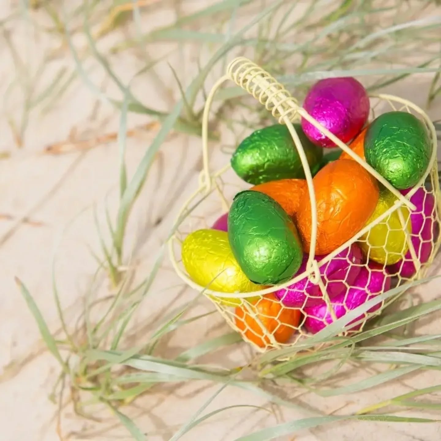 🌞 Osterurlaub am Meer: Dein Traumurlaub mit Sonne, Abenteuer und Entspannung! 🌊
Noch keine Idee, wo du Ostern 2025 verbringen möchtest? Wie wäre es mit einem unvergesslichen Osterurlaub an der wunderschönen Costa Dorada? Ideal auch für Familien! 🏖️
In einem charmanten Ferienhaus für bis zu 6 Personen erlebst du 10 traumhafte Nächte mit allem Komfort: 3 Schlafzimmer, Pool, Terrasse und Grill – hier wirst du entspannen und neue Energie tanken! 😎
Dein Osterurlaub auf einen Blick:
✨ 10 Nächte im Ferienhaus für 6 Personen
🚤 3-stündige Katamaran-Tour auf dem Mittelmeer mit Snacks, Getränken und Musik
🍾 Besichtigung einer Sektkellerei (Cava) inkl. Verkostung und spannende Fahrt durch unterirdische Tunnel
🌿 Entdecke das Delta Ebro, mit einem Stopp bei den Flamingos – Natur pur!
🍴 Restaurant-Tipp: Genieße traditionelle Paella direkt am Delta Ebro
🎉 Und natürlich gibt es eine Osterüberraschung für jeden!
All das für nur 318 Euro pro Person (bei mindestens 6 Personen)! 😍
Exklusives Angebot für April 2025: Nutze den Rabattcode: osternerleben
Sichere dir deinen Platz im Osterparadies! 🐣
Anreise leicht gemacht (nicht inbegriffen):
🚗 Mit dem Auto oder Fly&Drive (Flüge nach Barcelona ab 115 Euro, Mietauto ab 40 Euro pro Person)
Lust auf Ostern in der Sonne? 🏖️
Kontaktiere uns noch heute für mehr Infos! ✨
#Ostern #CostaDorada #ferienhaus #osterurlaub #familienurlaub #Katalonien #spannend #ostern #osterurlaub #erleben #spanien #spanienreise #sektliebe #GenussMomente #katamaran #Genießen #genusserleben #sonne #sonnenschein #meer #meerliebe #meeresrauschen #meeresluft #Buchten #spazieren #spazierengehen #familienzeit #osterferien #urlaub #urlaubmitkindern #urlaubplanen
https://www.seasidecostadorada.com/post/osterurlaub-am-meer