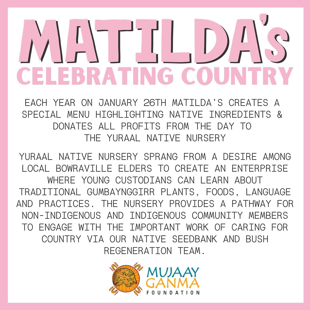 Each year on January 26th Matilda’s creates a special menu highlighting native ingredients & donates all profits from the day to the Yuraal Native Nursery.
Yuraal Native Nursery sprang from a desire among local Bowraville Elders to create an enterprise where young custodians can learn about traditional Gumbaynggirr plants, foods, language and practices. The nursery provides a pathway for non-Indigenous and Indigenous community members to engage with the important work of caring for Country via our Native Seedbank and Bush Regeneration team.
Spiced Kangaroo loin Tacos | Warrigal Greens Chimmichurri | Sumac Pickled Red Onion | Pico de Galo $20
Braised Venison & Salt bush Croquettes | Pepper berry Piccalilli $22
Flash Fried Squid | Calabrian Chilli | Davidson plum & Vermouth Mayo $24
Pappardelle | Warrigal Greens & Macadamia Pesto | Stracciatella | Pangrattato $28
Barramundi | Green Coconut Curry | Finger lime & chive oil | crispy garlic | Pickled Sea Blite $34
@mujaay_ganma
@coopernugent19 @teejaysav
