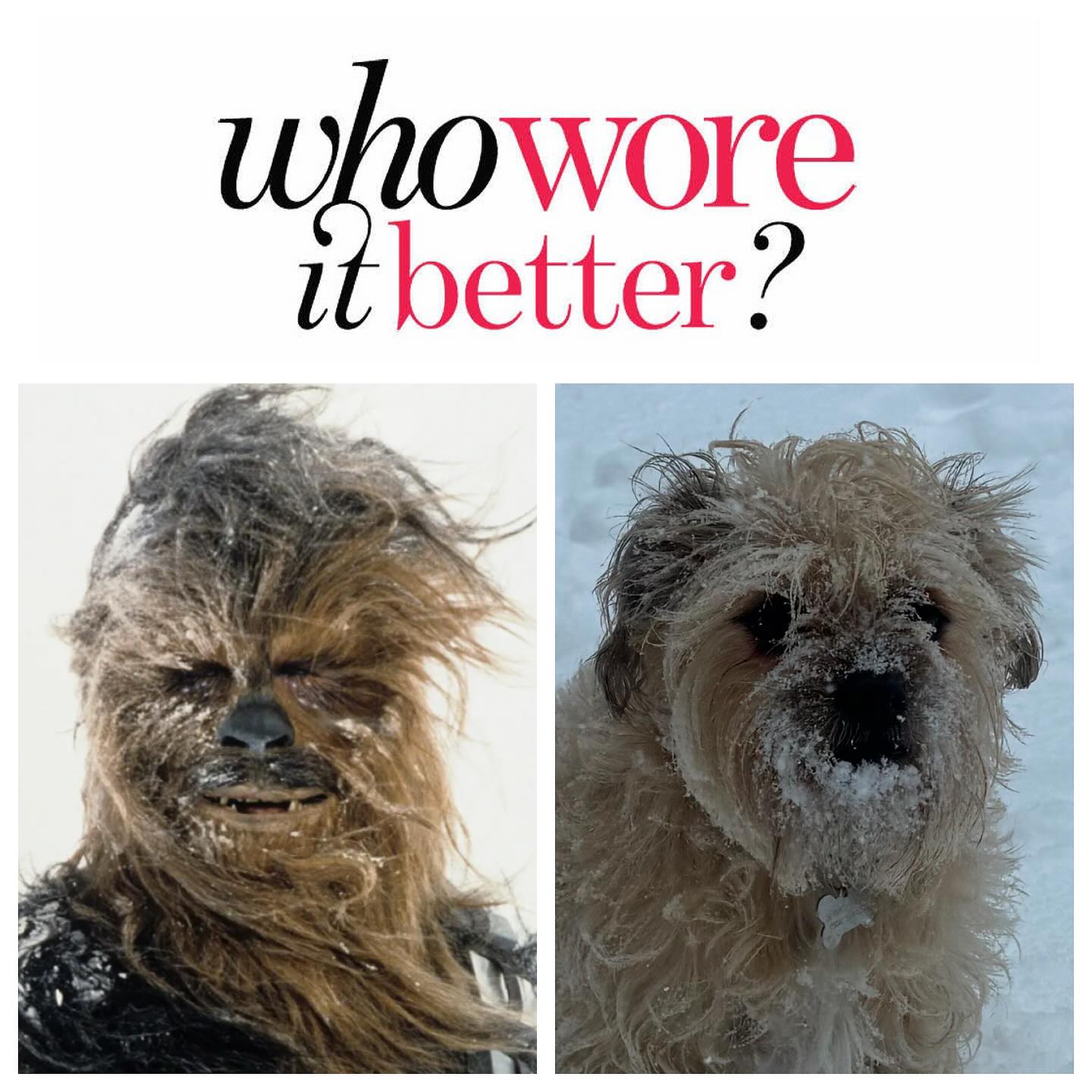 Closed today and tomorrow bc this is just too much fun! Stay off the roads unless you have a sled. Have fun and be safe! We’ll see you after the thaw.