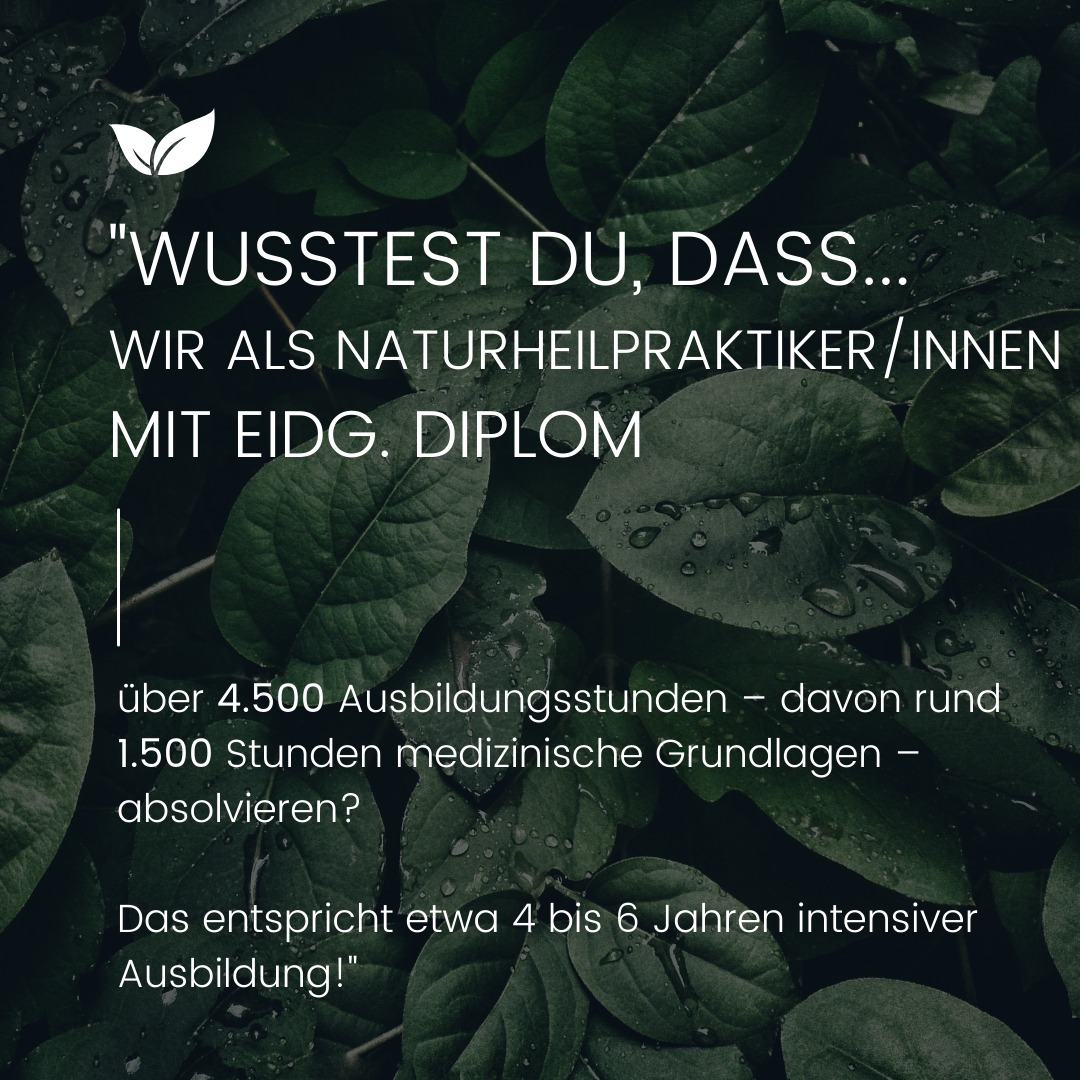 Wusstest du, dass wir als Naturheilpraktiker mit eidg. Diplom über 4.500 Ausbildungsstunden – davon rund 1.500 Stunden medizinische Grundlagen – absolvieren?
Das entspricht etwa 4 bis 6 Jahren intensiver Ausbildung! 🩺✨"
#alternativmedizin #heilkunde #naturheilkunde #erstanlaufstelle #naturarzt #schweiz #tcm #akupunktur #ernährungstherapie #medizin #aargau #gesundheit #holistischegesundheit #medizinimfokus
