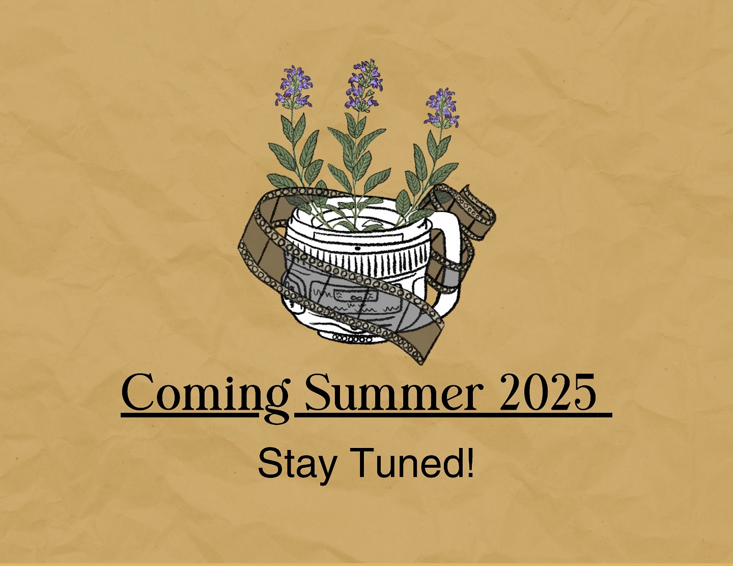 Coming this summer, my friends! A magical creation that I am truly so proud of!! Follow along for more details!!