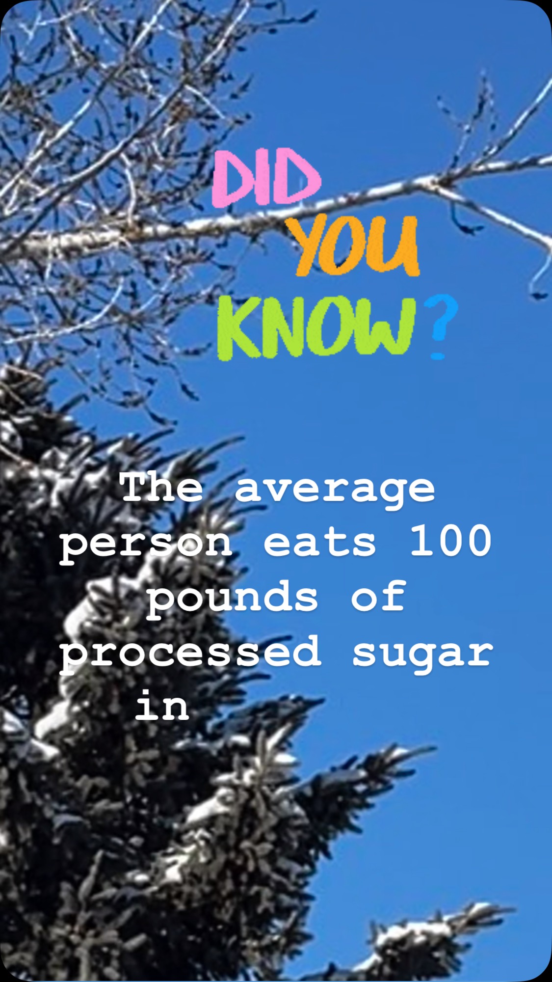 😱 Did you know the average person consumes 100 lbs of processed sugars a year? That’s a LOT of extra sugar, and it’s affecting your health more than you realize. 🚫
Excess sugar can lead to energy crashes, weight gain, and increase your risk of chronic diseases like heart disease and diabetes. 💔 But the good news? You can take control! 💪
Let’s work together to reduce processed sugars, boost your energy, and feel your best. Ready to make a change? DM me to get started! 📩
#TakeControl #SugarImpact #HealthTransformation #DietitianSupport #WellnessJourney #BalancedLifestyle #HealthyEating #SugarFree #NutritionCoach #EatRealFood