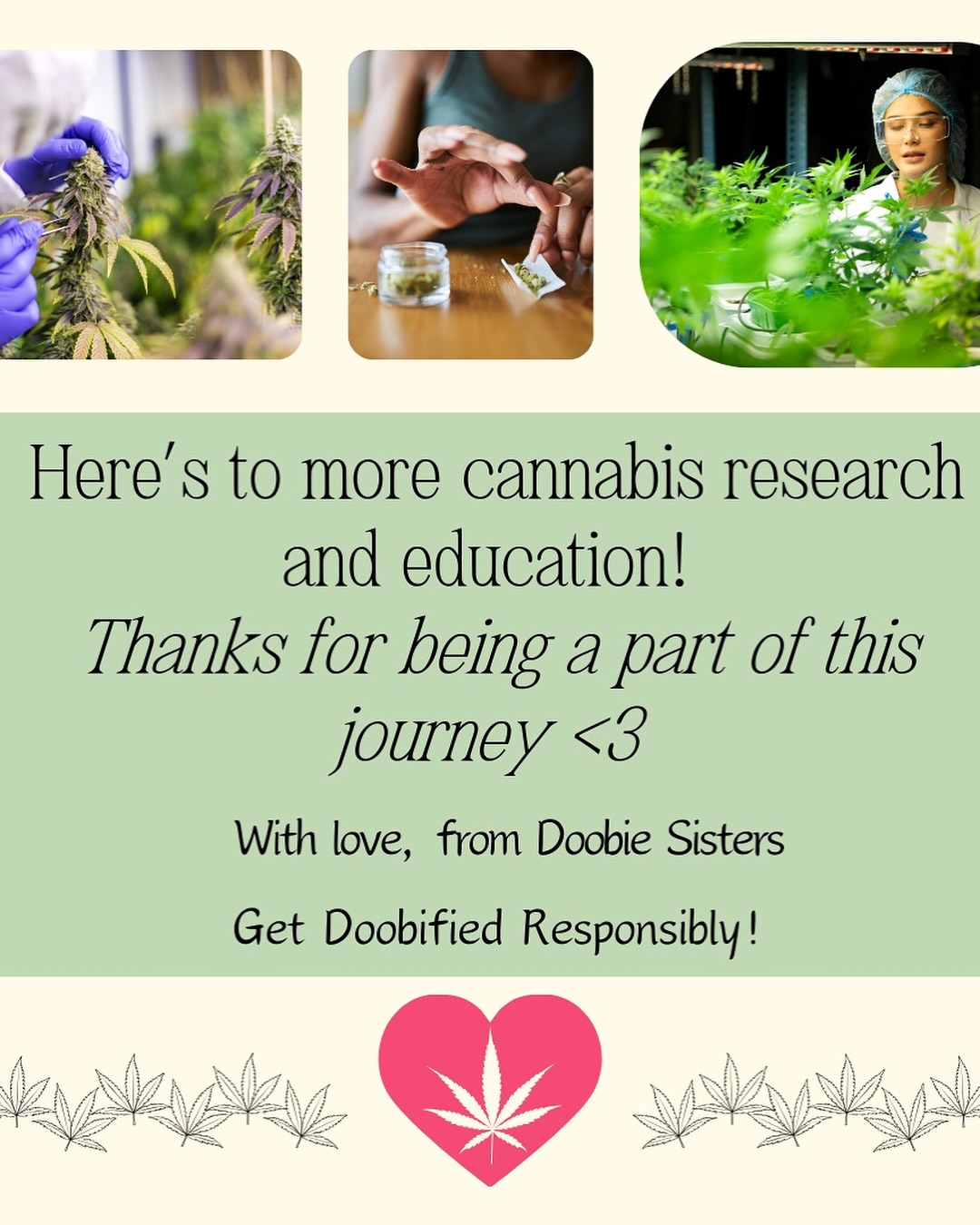 Getcha self educated π€! β¦.and then get doobified responsibly π€ͺ #geteducated #smallbusiness #mancos #cortez #colorado #recreationalmarijuana #loveweed #weed #marijuana