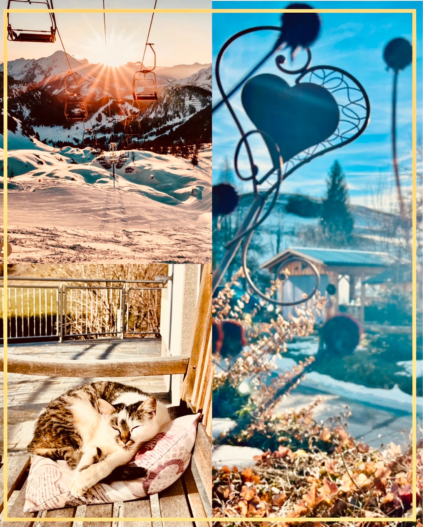 Auch wenn Frau Holle bis jetzt etwas sparsam mit ihren Schneeflocken umgegangen ist, sind die Pisten auf der Wurzeralm und in Hinterstoder in perfektem Zustand und bereit für unvergessliche Skiabenteuer! ⛷️ 🏂
Dank modernster Beschneiungsanlagen und sorgfältiger Präparierung wird optimalen Pistenspaß geboten. 🤩
Skifahren in einer traumhaften Winterlandschaft, umgeben von majestätischen Bergen und klarer, frischer Luft. ☀️
Doch nicht nur sportliche Abenteuer warten: Genießt die wärmende Wintersonne bei einem gemütlichen Spaziergang durch die winterliche Landschaft. 🏔️ 🌞
Nach einem ereignisreichen Tag freuen sich unsere flauschigen Katzen auf Ihre Streicheleinheiten. 🐱🐾 ☕️
#hintergrabenbauer #spitalampyhrn #pyhrnpriel #wurzeralm