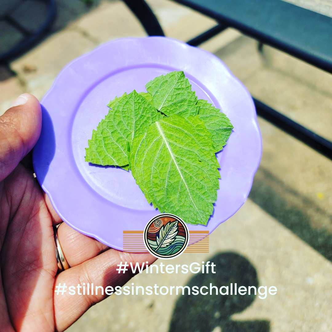 🌿 Winter’s Gift
Day 22 of the January Photo-a-Day Challenge: Nurturing Stillness is about celebrating the small gifts this season brings—moments, people, or things that remind us of joy and connection.
This photo of fresh mint, picked by my daughter, is one of those gifts. Mint is such an aggressive plant, growing wherever it pleases, but I keep it because she loves it. She snacks on it, plays with it, and adds it to her drinks like it’s magic. Watching her delight in something so simple reminds me of how important it is to hold onto the little joys, even in the cold stillness of winter.
The mint is a reminder of her curiosity and how nature has a way of giving, even when we least expect it.
💭 What’s your winter gift? Is it a small act of kindness, a memory, or a piece of nature that brings joy to your life? Share your reflections—use #StillnessInStormsChallenge and tag @YourInstagramHandle so I can celebrate your moments of gratitude and wonder.
✨ #PhotoADayChallenge #WintersGift #NurturingStillness #MindfulMoments #SelfDiscoveryJourney #HolisticSelfCare #CreativeHealing #WinterWellness #NatureInspiredLiving