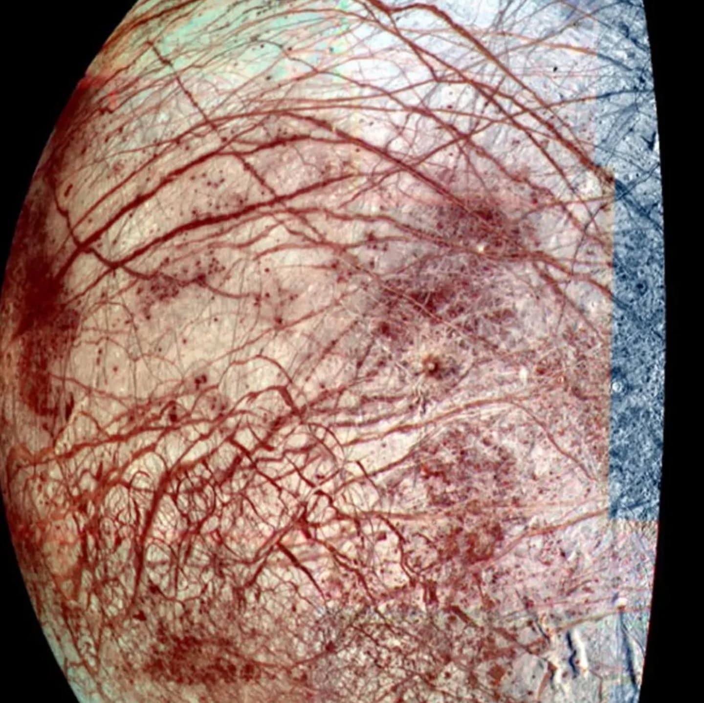 📣 ST:SFO folks:
Check out Jess and Liv's talk today at 10:10 am PST about the Europa Clipper mission and how we are looking for signs of life on the Jovian moon Europa! 🤓
And there's a sci fi movie (with aliens!) called Europa Report (2013) about what we might find (pictured)👽
@jesstella @infin8lycurious
#stsfo #startrek #europaclipper #spacescience #alienlife #neurodiversity #NDinSTEM