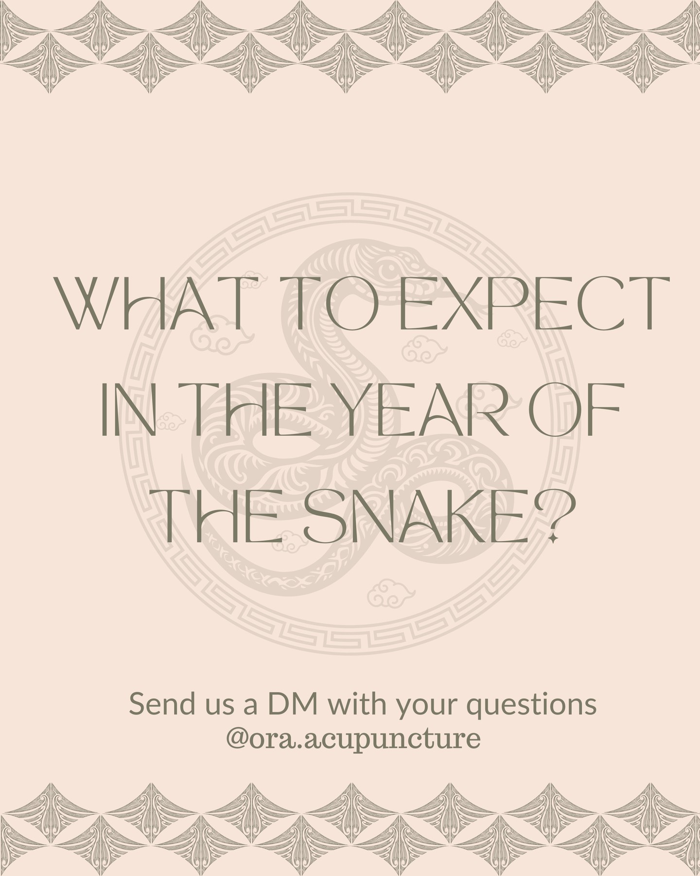🧧🐍 This year we welcome the year of the Yin Wood Snake - Happy Lunar New Year to everybody celebrating today 🎉
