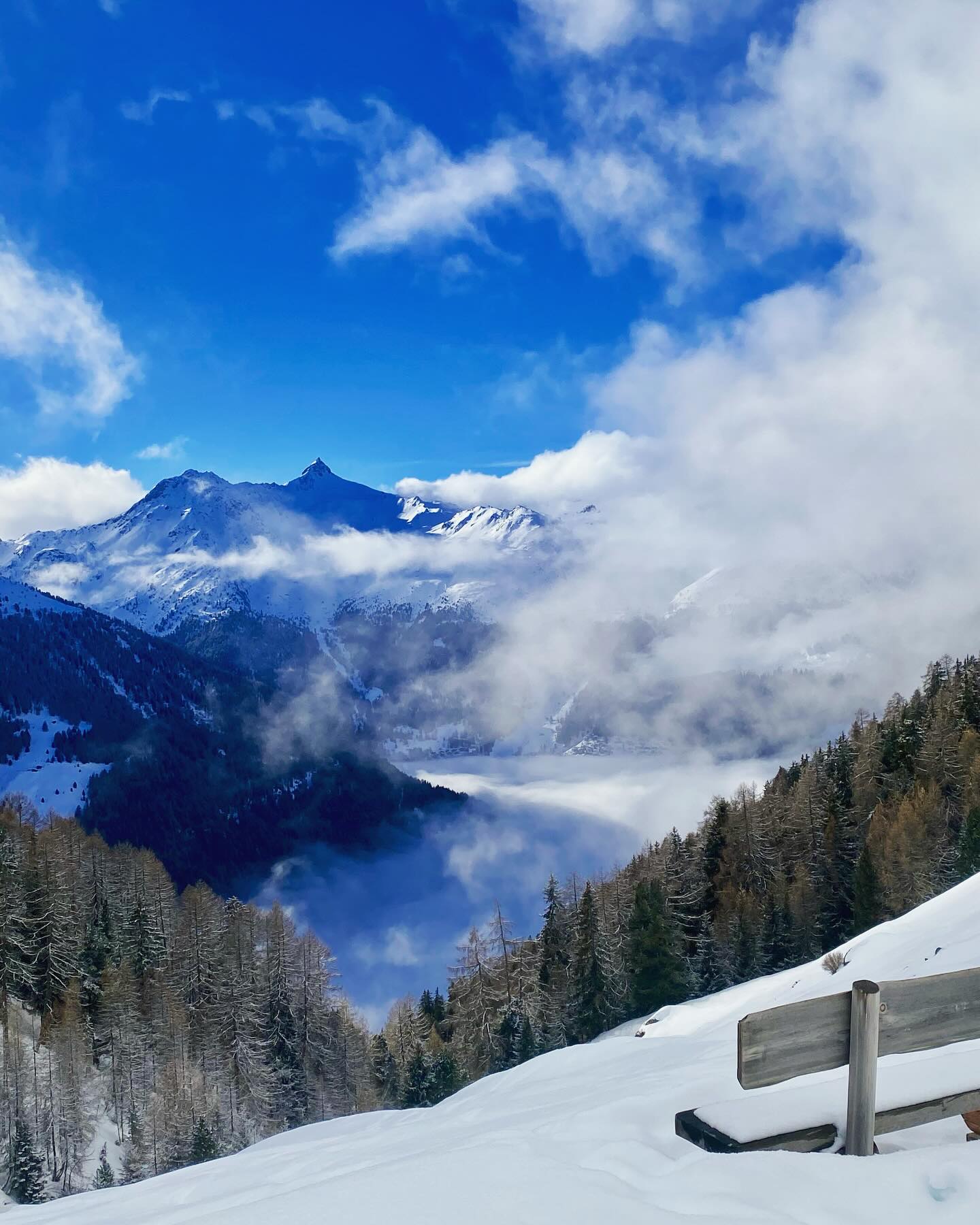 Fresh snow and blue skies yesterday and there is more to come! We have some (limited) availability if you fancy a winter break in February. DM us for the best rates 😉
-
#powderskiing #skiholiday #chaletholiday #skiswitzerland #skivalais #wallisvalais #valdanniviers #grimentz #zinal