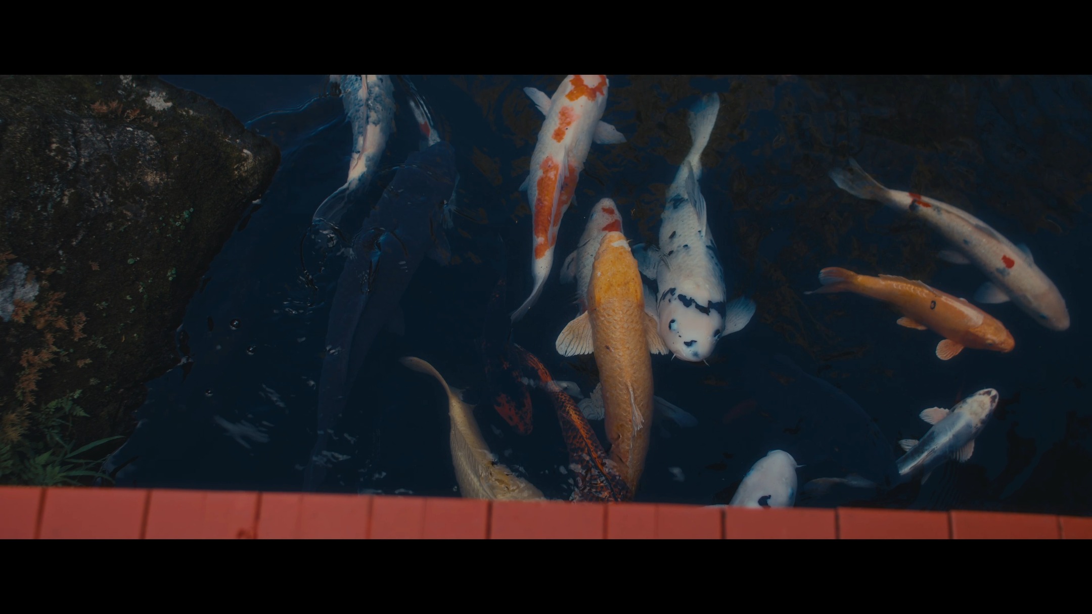 wear real classic kimono. and visit shrine, feel real culture here in Shimada on Tokaido. We will take you real local culture experiences places.
#tokaido #kimono #shimada #shizuoka #shrine #japaneseculture #japanesecuisine #sake #greentea #kawagoeruins #japantrip #localtourinjapan #traveljapan #visitjapan #wagashi