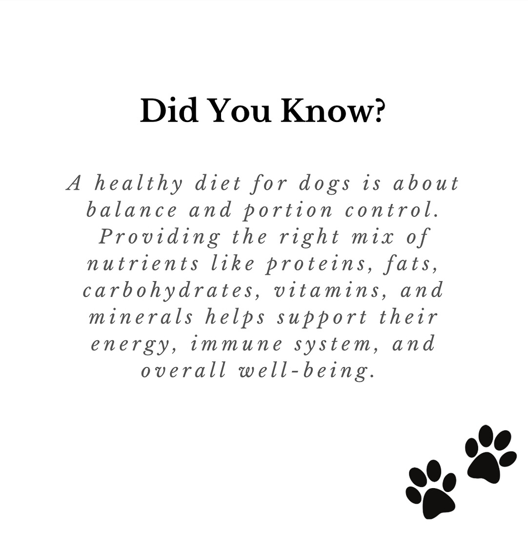 Did you guys know about this important fact?✨
#benjaminsbakehouse