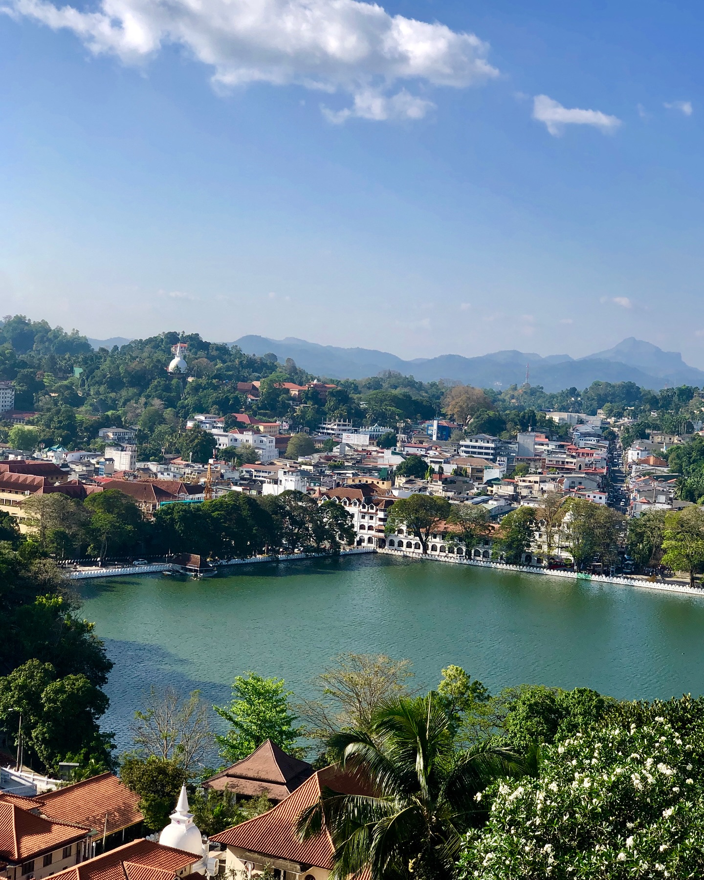 Circuit day 5 and 6
Kandy
We have moved on from the peace and quiet of rural Sigiriya to hustle and bustle of Kandy city. Once a capital of Sri Lanka, this city is located on a plateau surrounded by tea plantations and tropical forests and a big lake bang in the centre.
It is the home of world famous and one of the most sacred Buddhist Temples- Temple of Tooth Relic.
We stopped by a Batik workshop by @certitude_by_k and had a good insight about this handmade textile art that uses wax and dyes to create beautiful prints. I had to get a shirt to add it to my Tropical collection.
Kandy is also known for its gem stone mining and world famous gem collection. We made a quick visit to gem museum for an insight of how the gems are mined.
Highlights of the 2 days are a cooking lesson and lunch by locals Nilu and Janaka using fresh local ingredients, some grown in their backyard. Simple yet flavour packed dishes and also celebration of vegetables are reflected in local cooking here.
Fresh seasonal fruits and king coconuts at their best in this region so much so that you can’t help but stop by the road side fruit stalls and indulge yourself in fresh local fruits such as Rambuttans, jackfruit, mango, wood apples, guavas and the indigenous small red bananas… and many more.
The river Mahaveli -the longest river stretching to 335km flows through Kandy offering some fresh water fish like Tilapia and prawns.
Though driving through Kandy can be hectic due to traffic in peak times but driving around Kandy and into the hills is such a pleasant experience with lush green paddy fields all around and some amazing statues of Buddhas on the hilltops.
If food, culture, arts and spirituality is your thing then Kandy offers it all in large proportions in one place.
This city of gems is one gem of a city ❤️