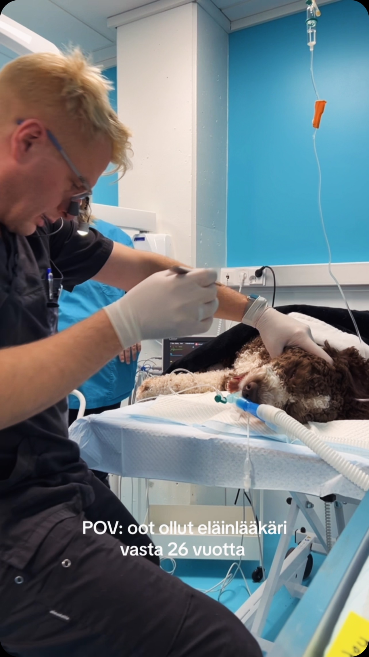 Tämän viikon lauantaina 08.02. Lillvet Tampereen klinikalla päivystys klo 09:00-17:00 by johtava eläinlääkäri Jukka! Saa tulla - vaivasta viis! ⛑️
#lillvet #lillvettampere #eläinlääketiede #lillveteläinlääkäripalvelut #eläinlääkäri