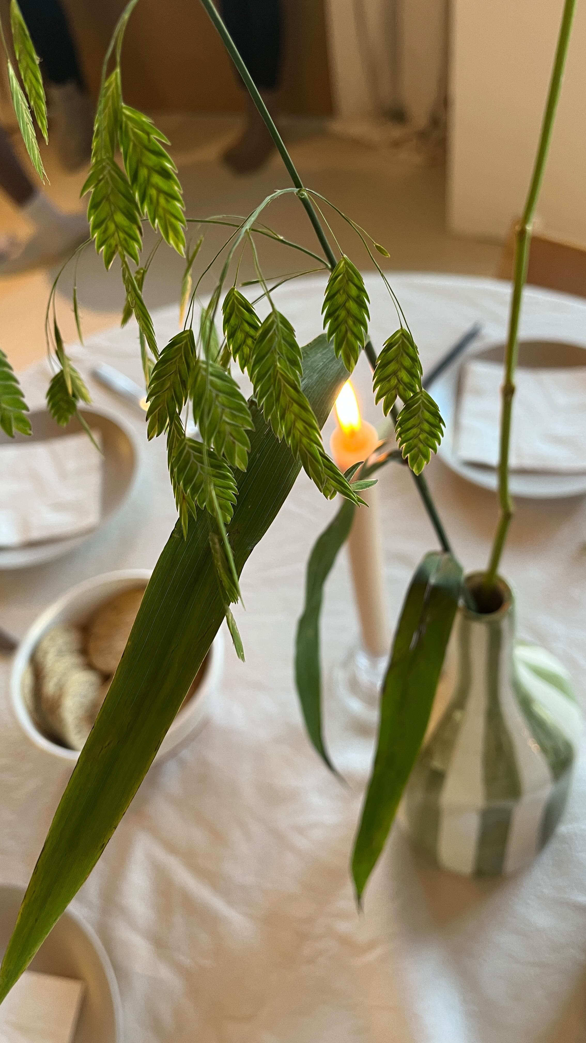 Vandaag was de eerste editie van Self-Care Sunday met een fijne breathwork @inbalancebyme en een heerlijke healthy lunch @atelier.prepare. Wat een bijzondere ochtend! De volgende editie is in maart. Wil je erbij zijn? Meer informatie volgt snel. #selfcaresunday #haarlem #fotostudio #photostudio #daglichtstudio #daylightstudio #haarlem #fotografie #photography #shootlocatie #shootlocation #photospace #haarlemvenue #amsterdamvenue #rentallocation #verhuurruimte