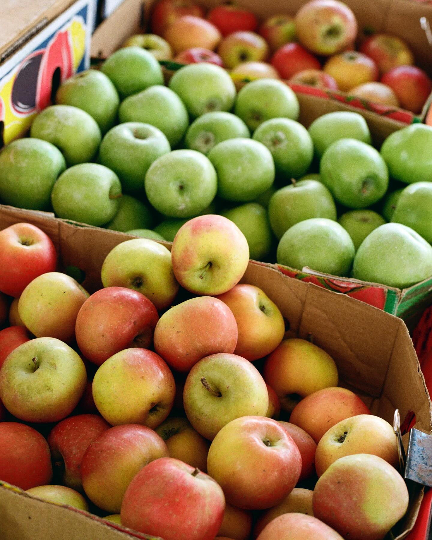 Looking for a weekend outing with friends and family? 👫
Visit @palmbeachfarmersmarket every Saturday for fresh produce, cold-pressed juice and live music 🍏🥤🥁
Open from 6-1130am, see you there!